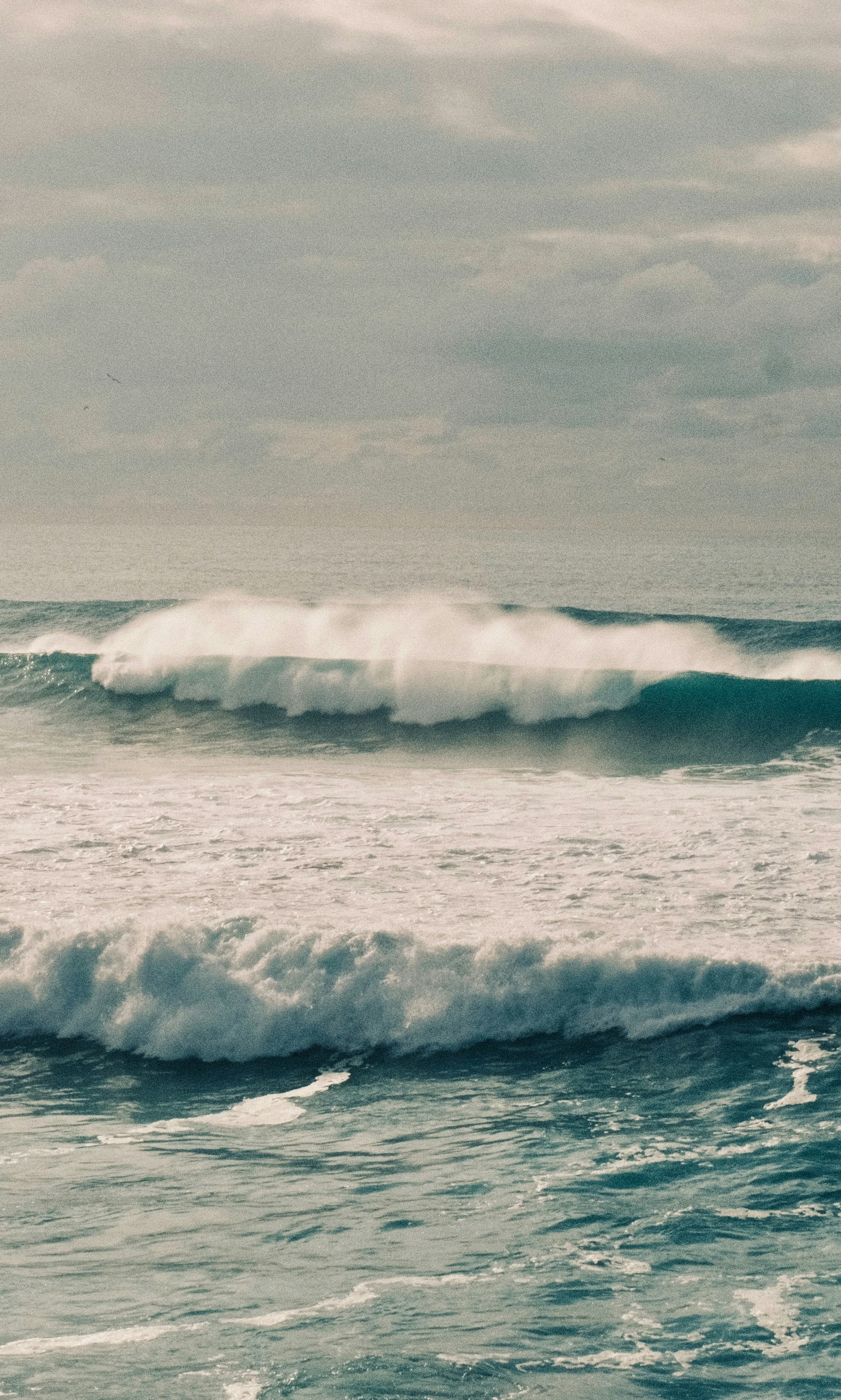 Photo by ivosouzamartins