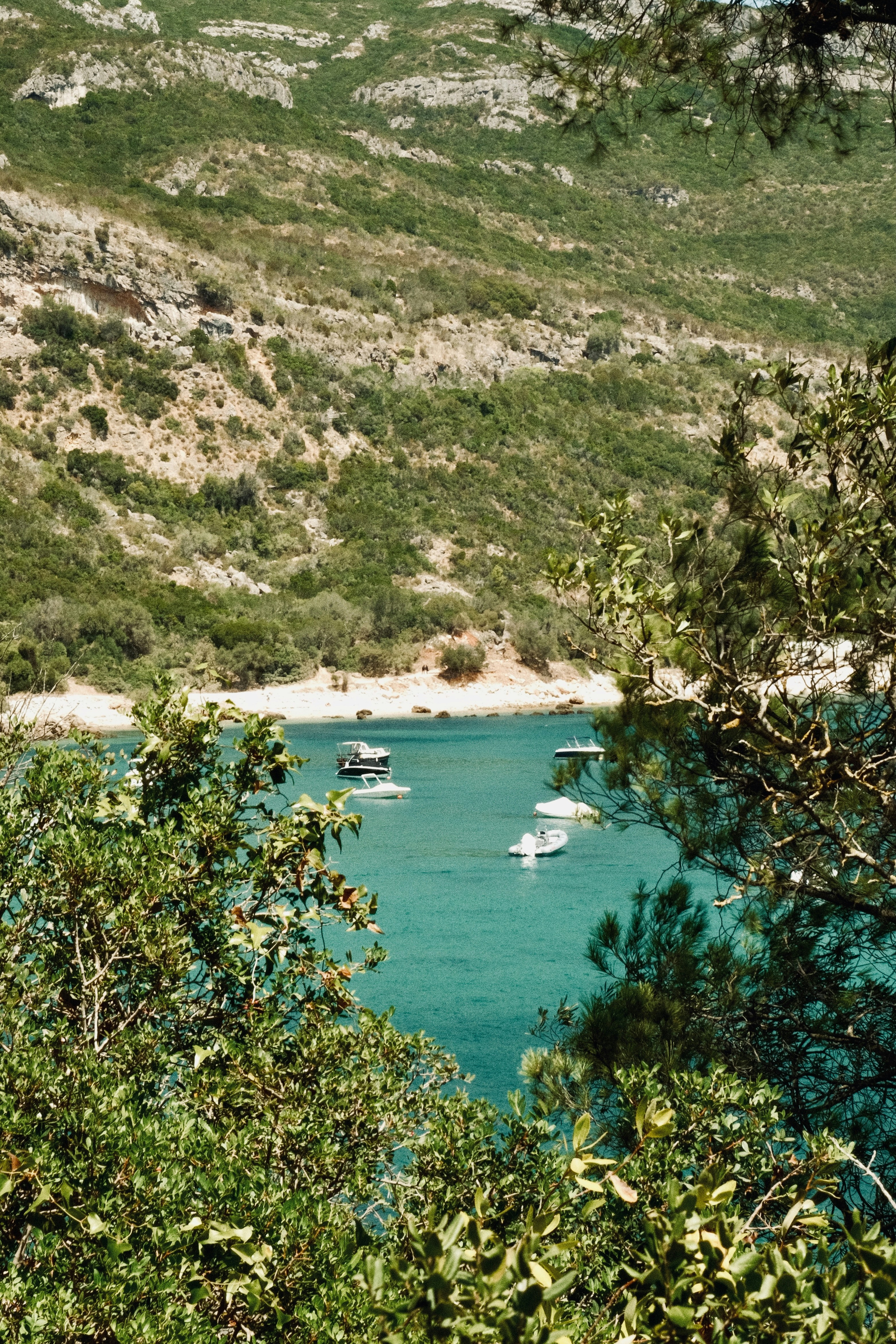 Photo by ivosouzamartins