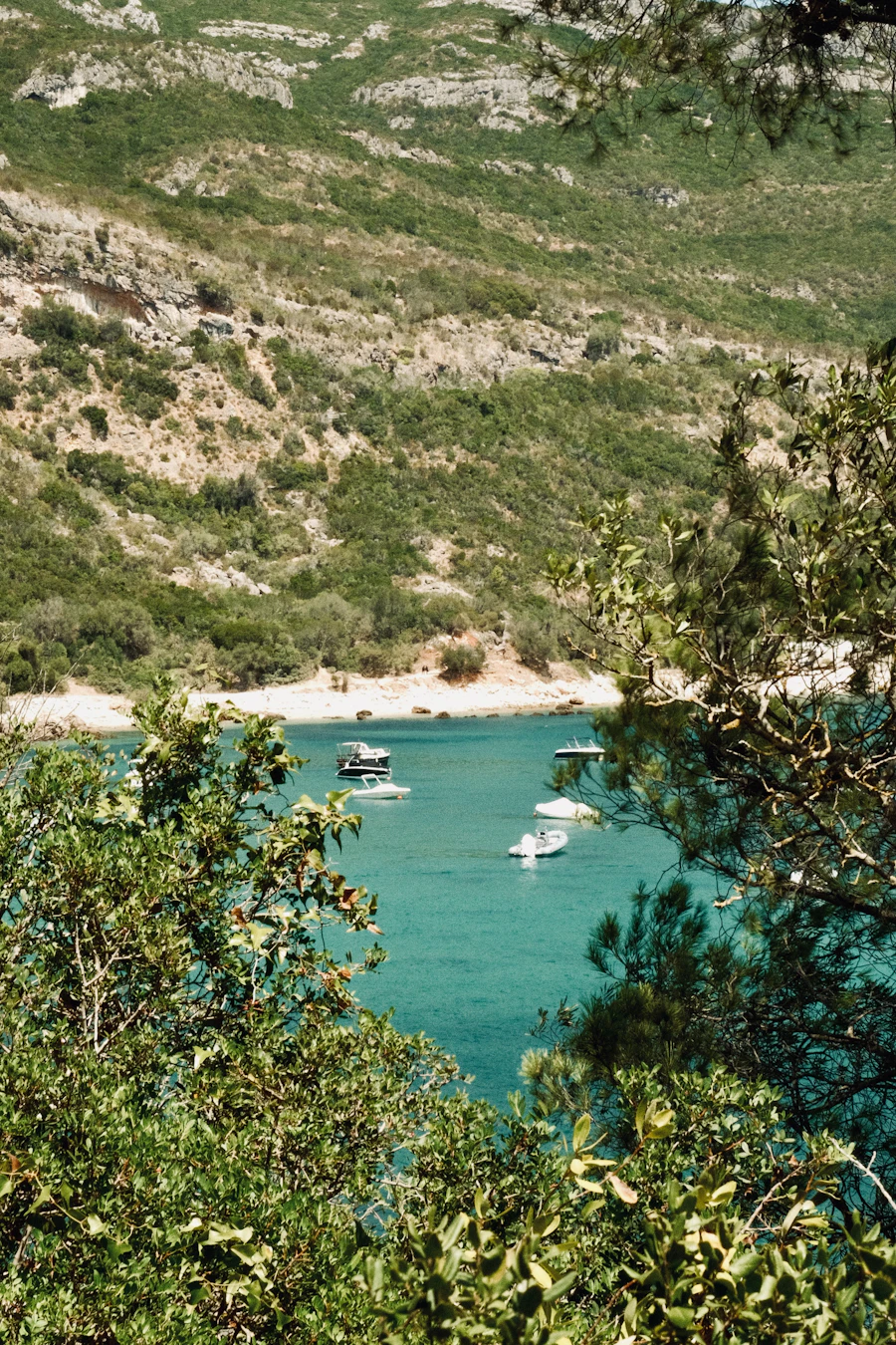 Costa e paisagem da Arrábida