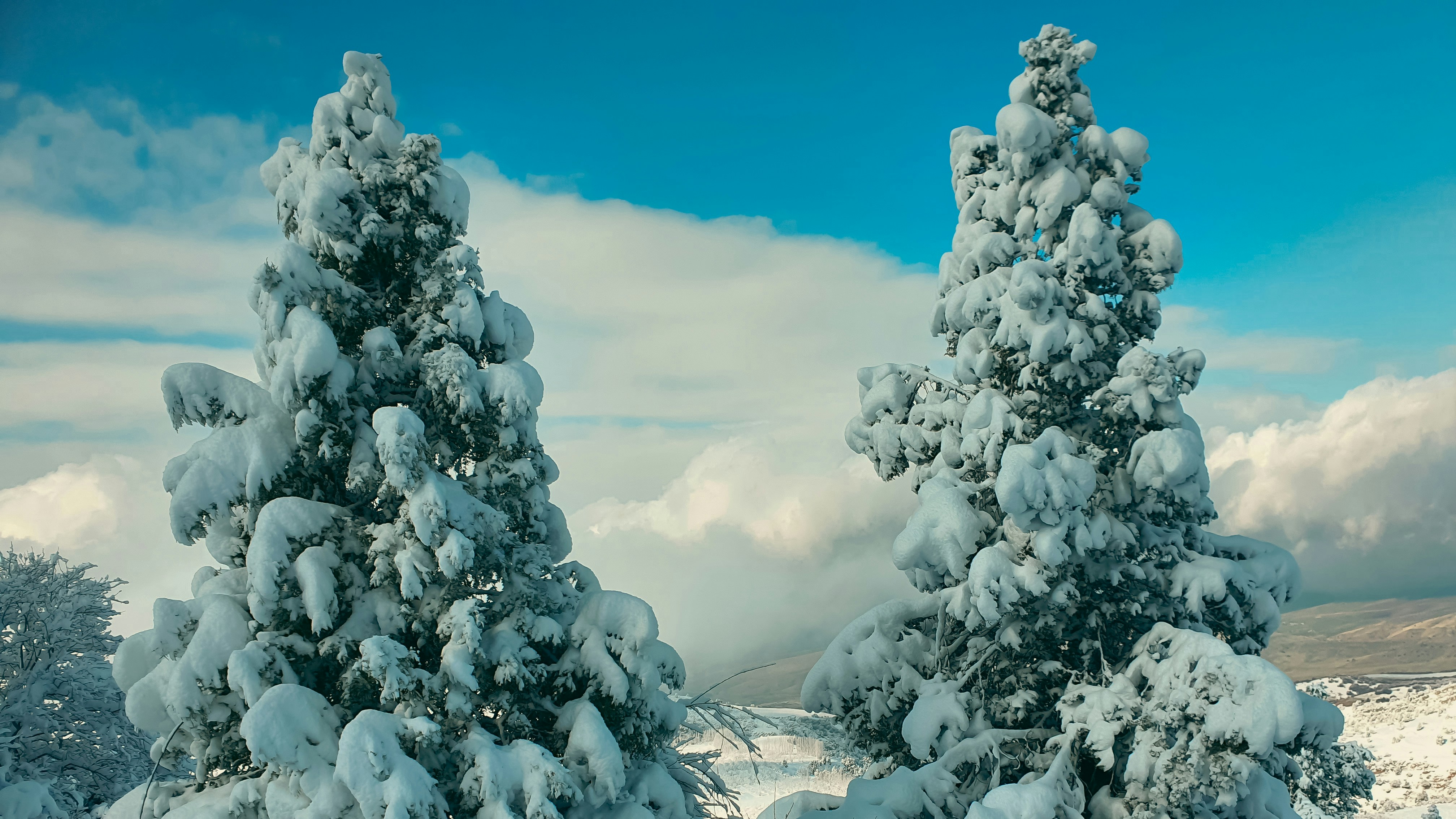 winter landscape wallpaper, wallpaper, Hypothermia: Recognizing Early Signs & Symptoms 6