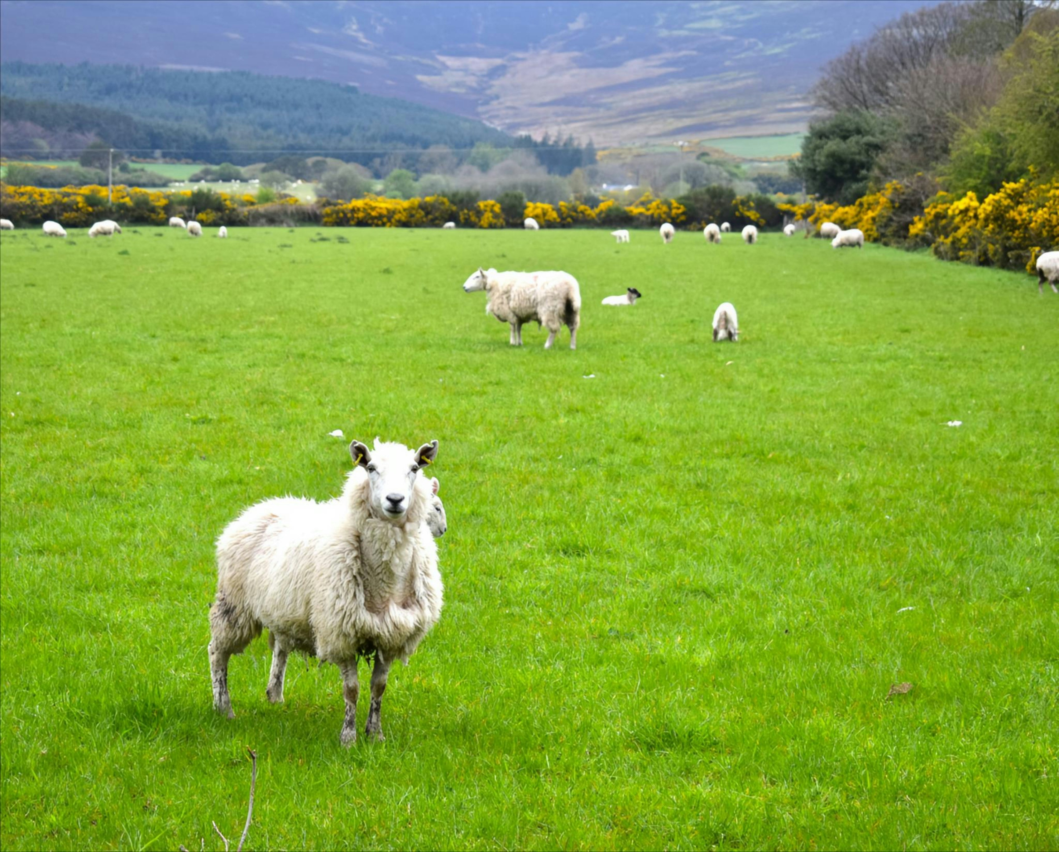 Photo by inclicks_by_nikita