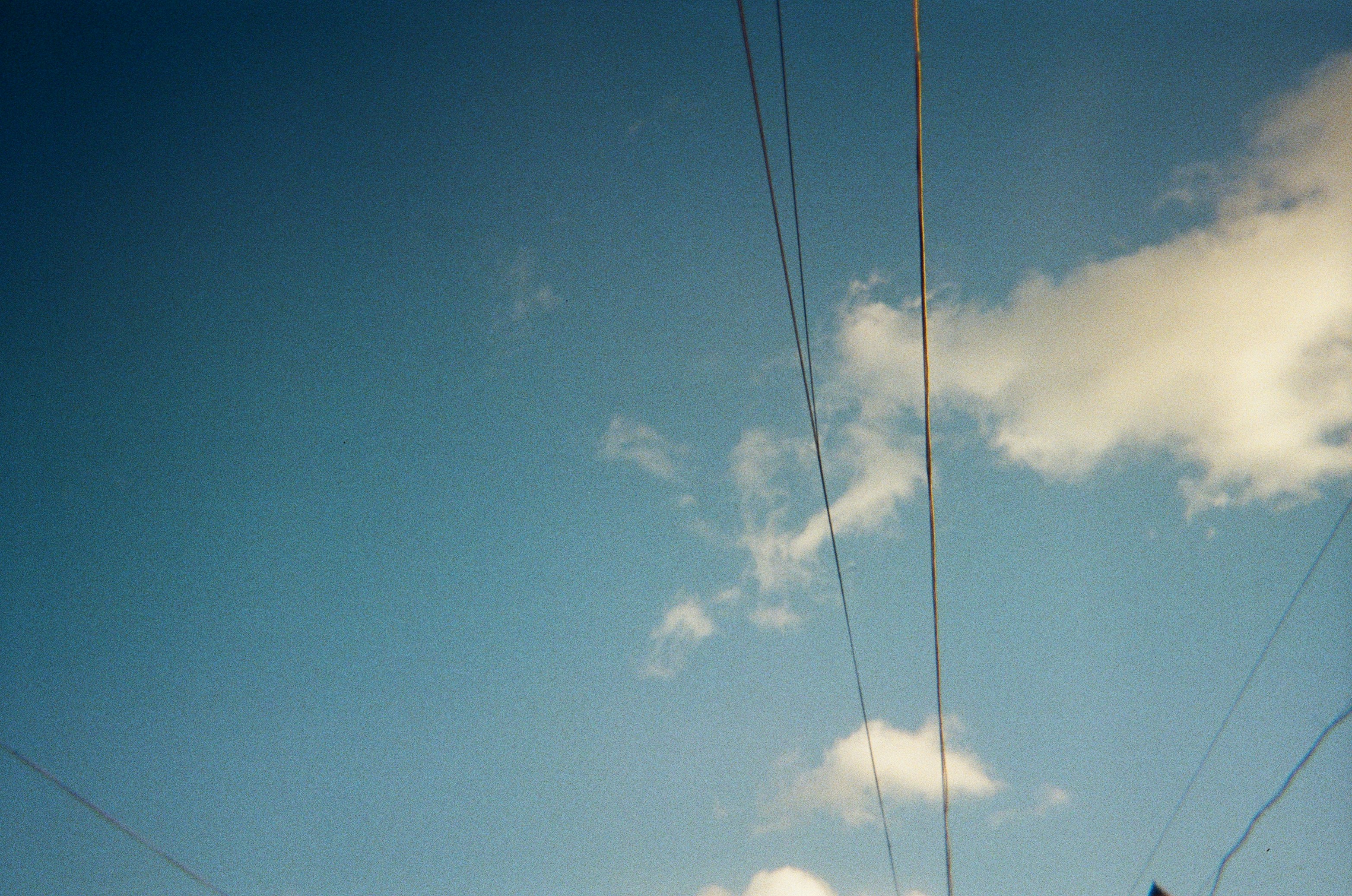 Photo by siobhanflannery