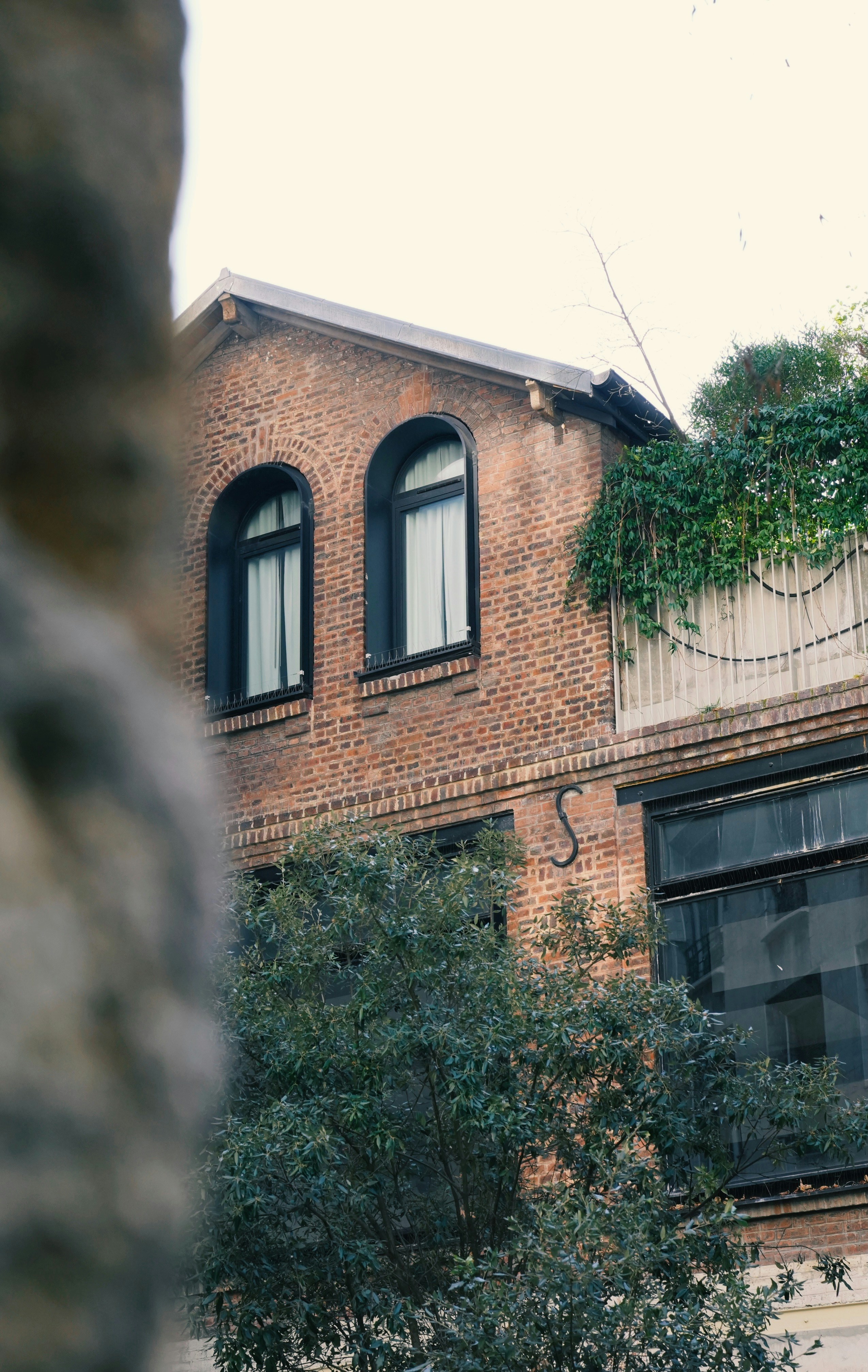 Photo by solomon_6969