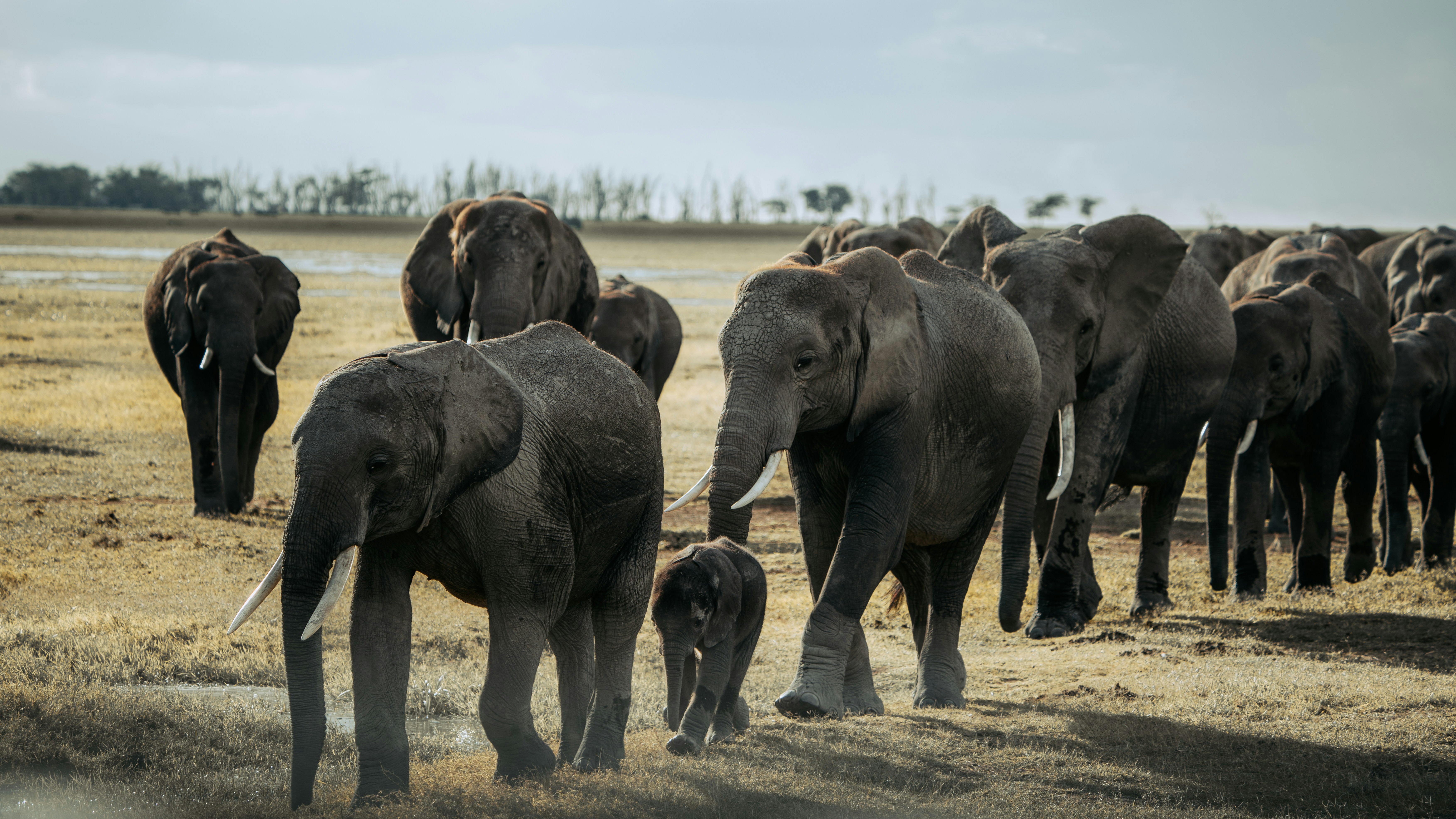 Photo by matthewryanstephenson