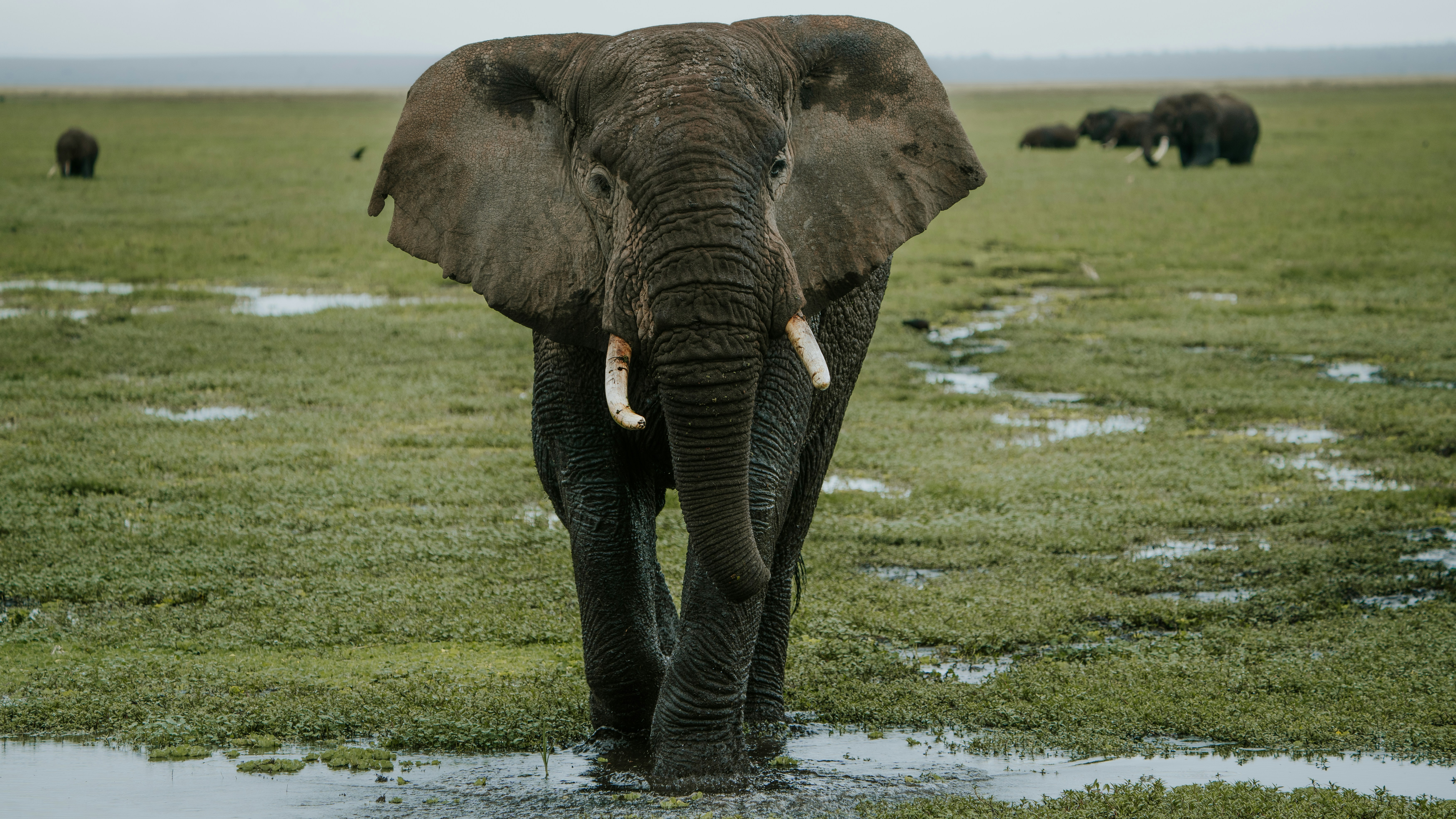 Photo by matthewryanstephenson