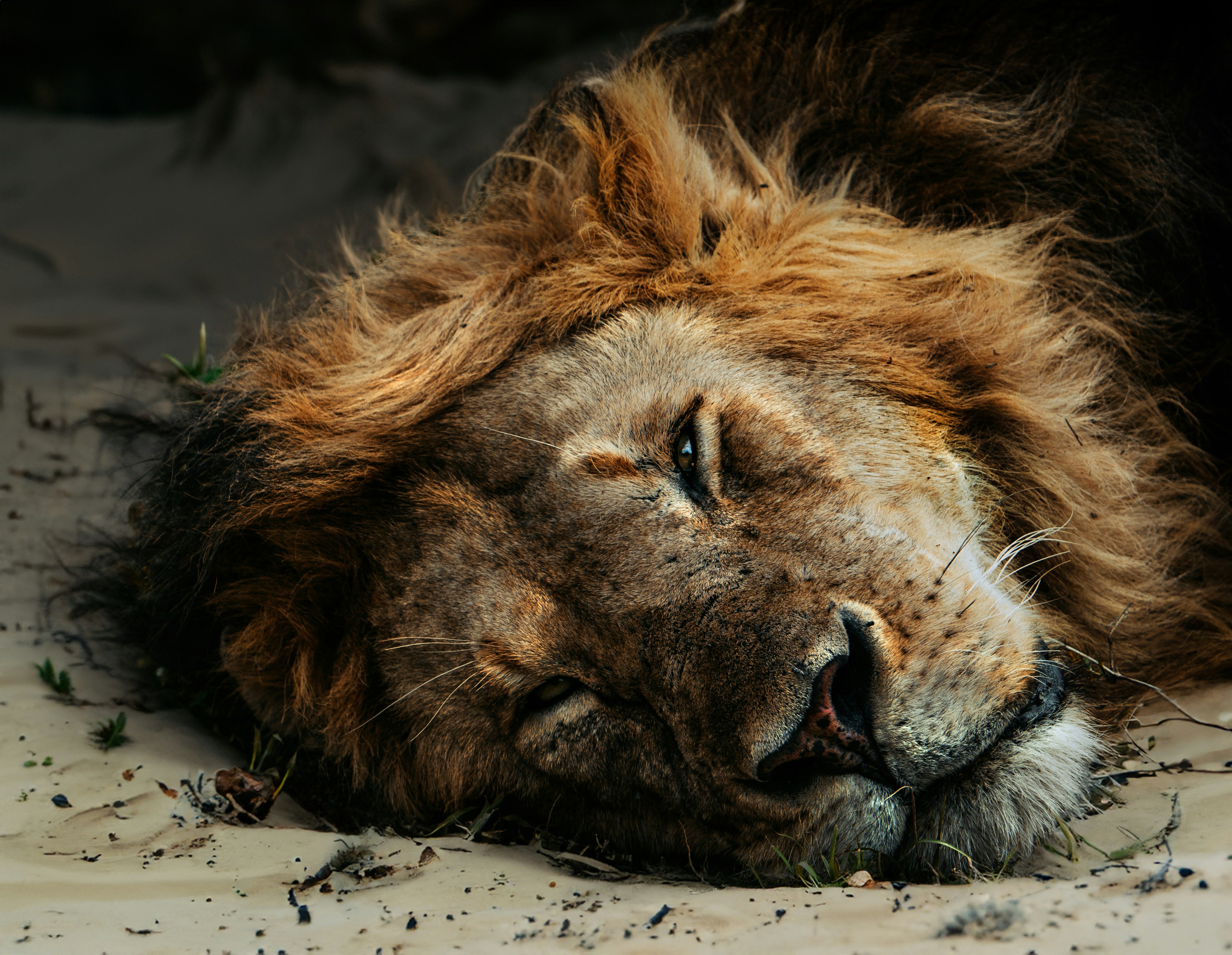 Photo by matthewryanstephenson