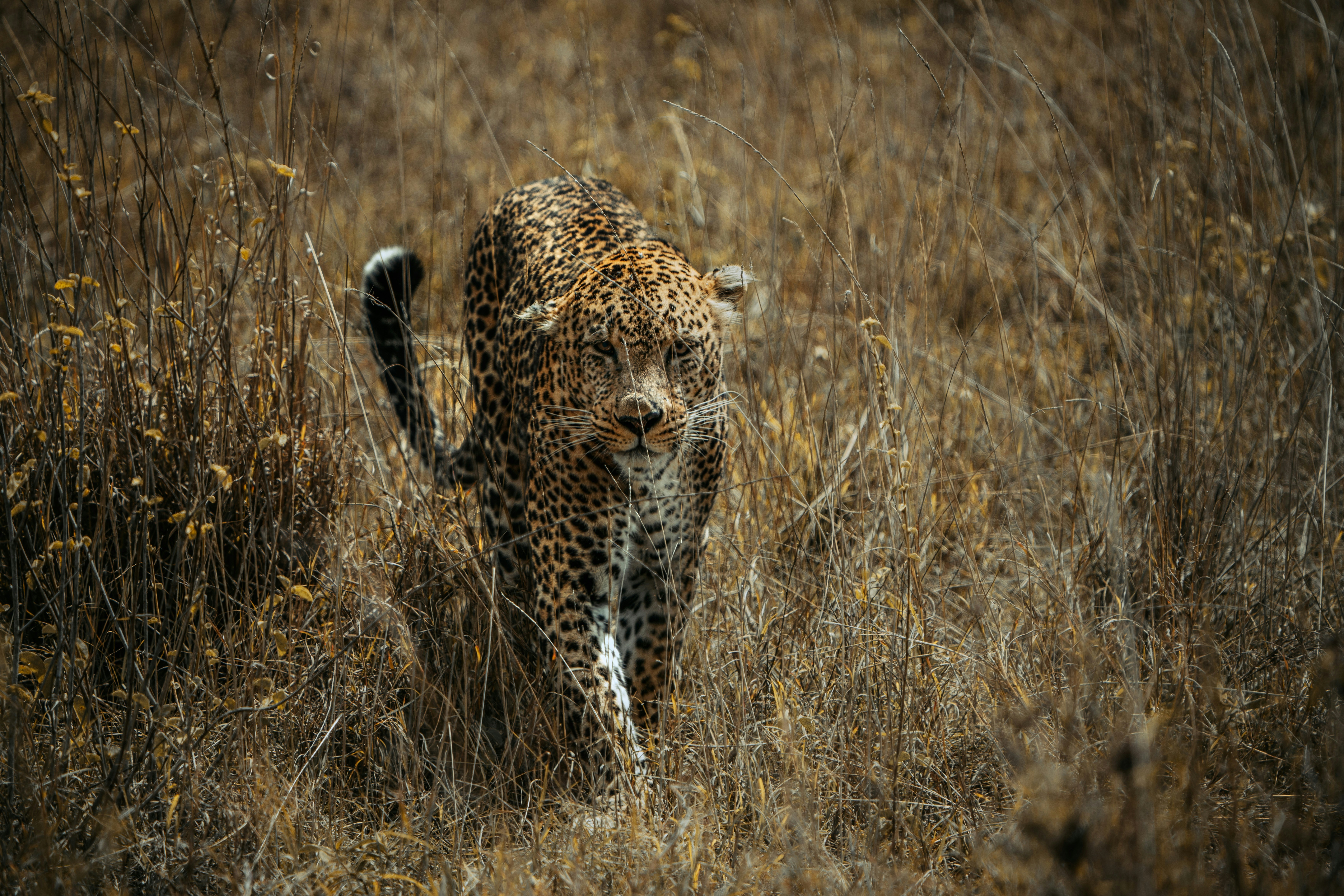 Photo by matthewryanstephenson