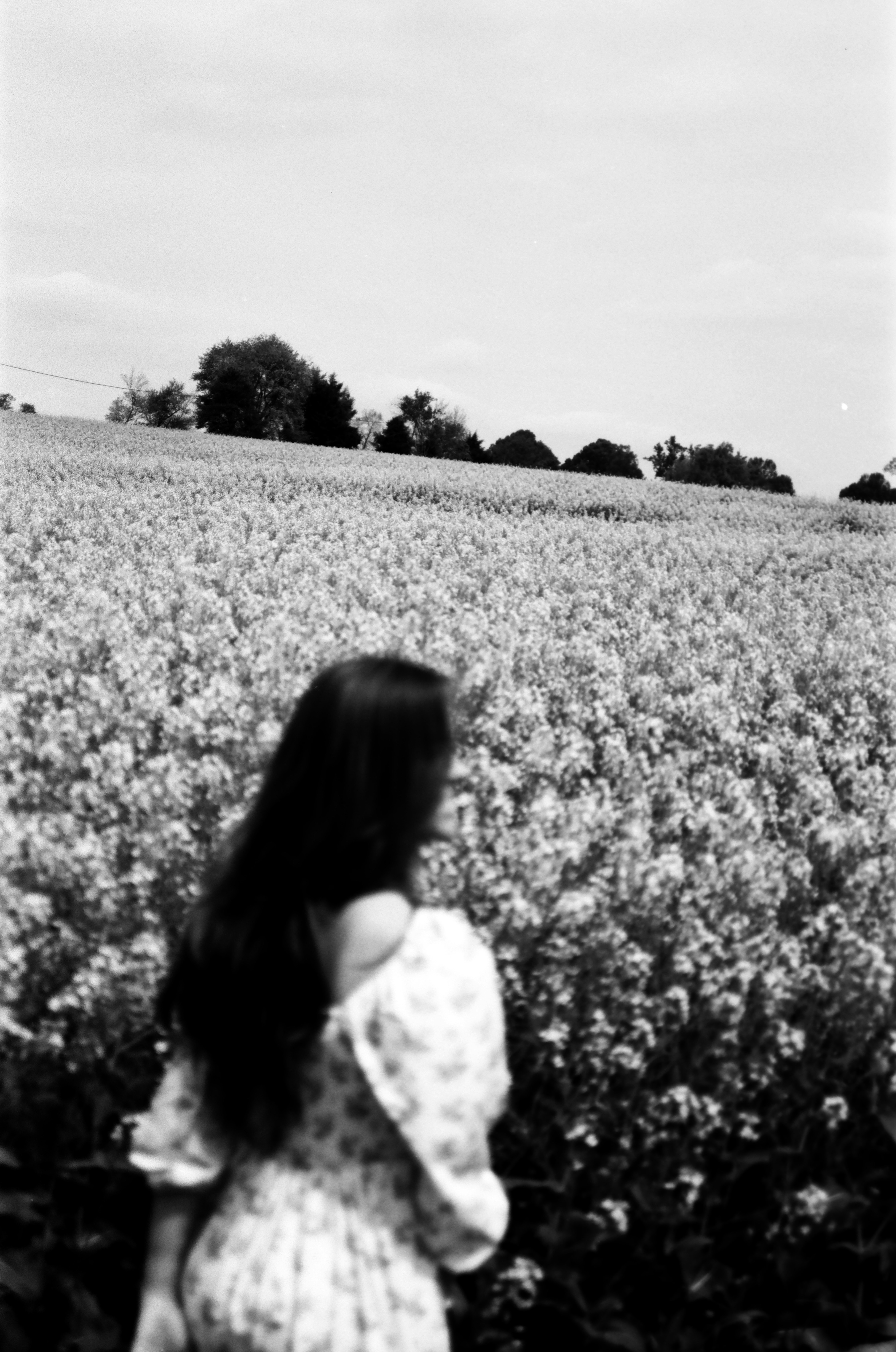 Woman walks through a field of flowers.