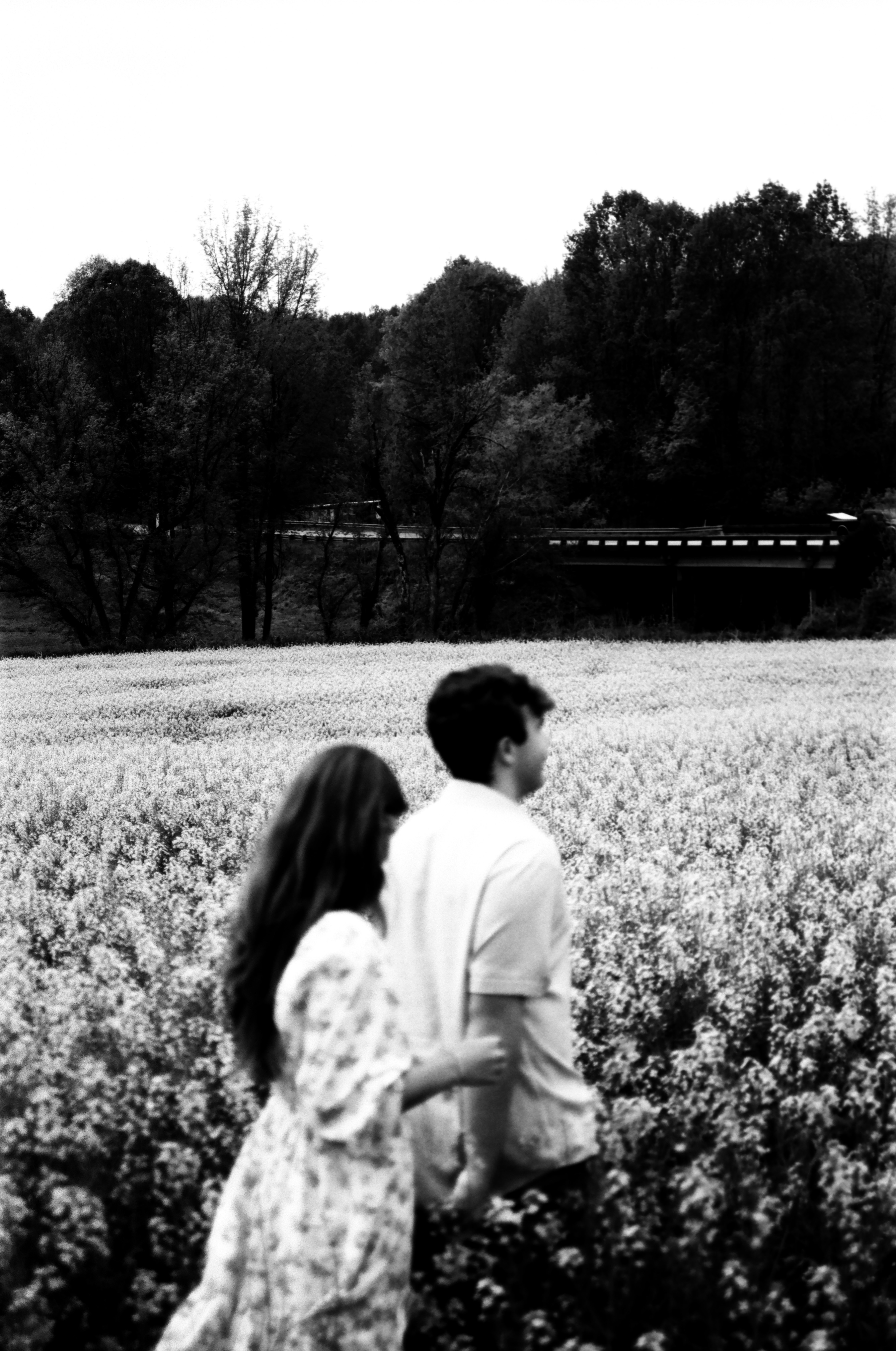 Couple walks through a flower field together.