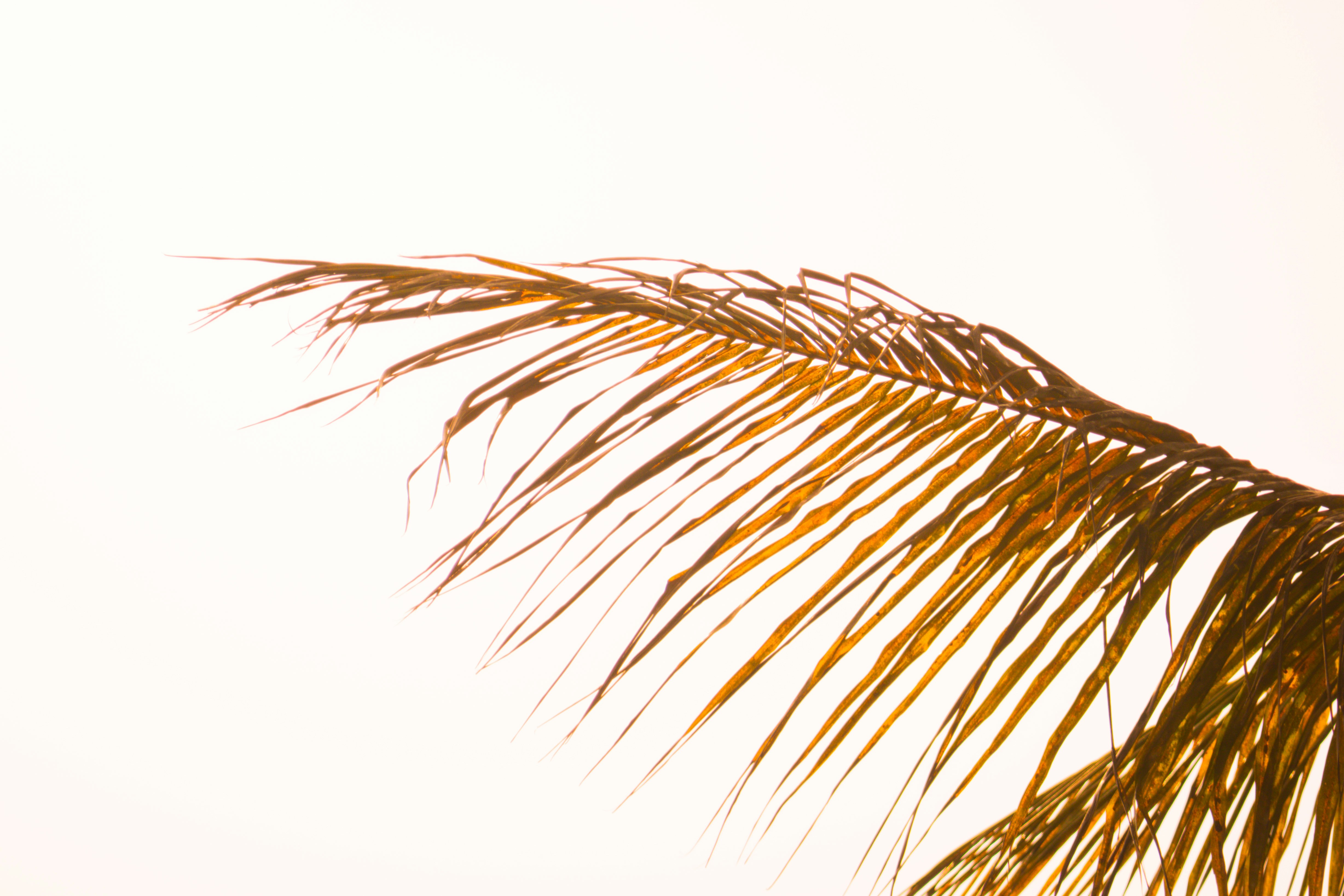 Photo by pixel_guy97