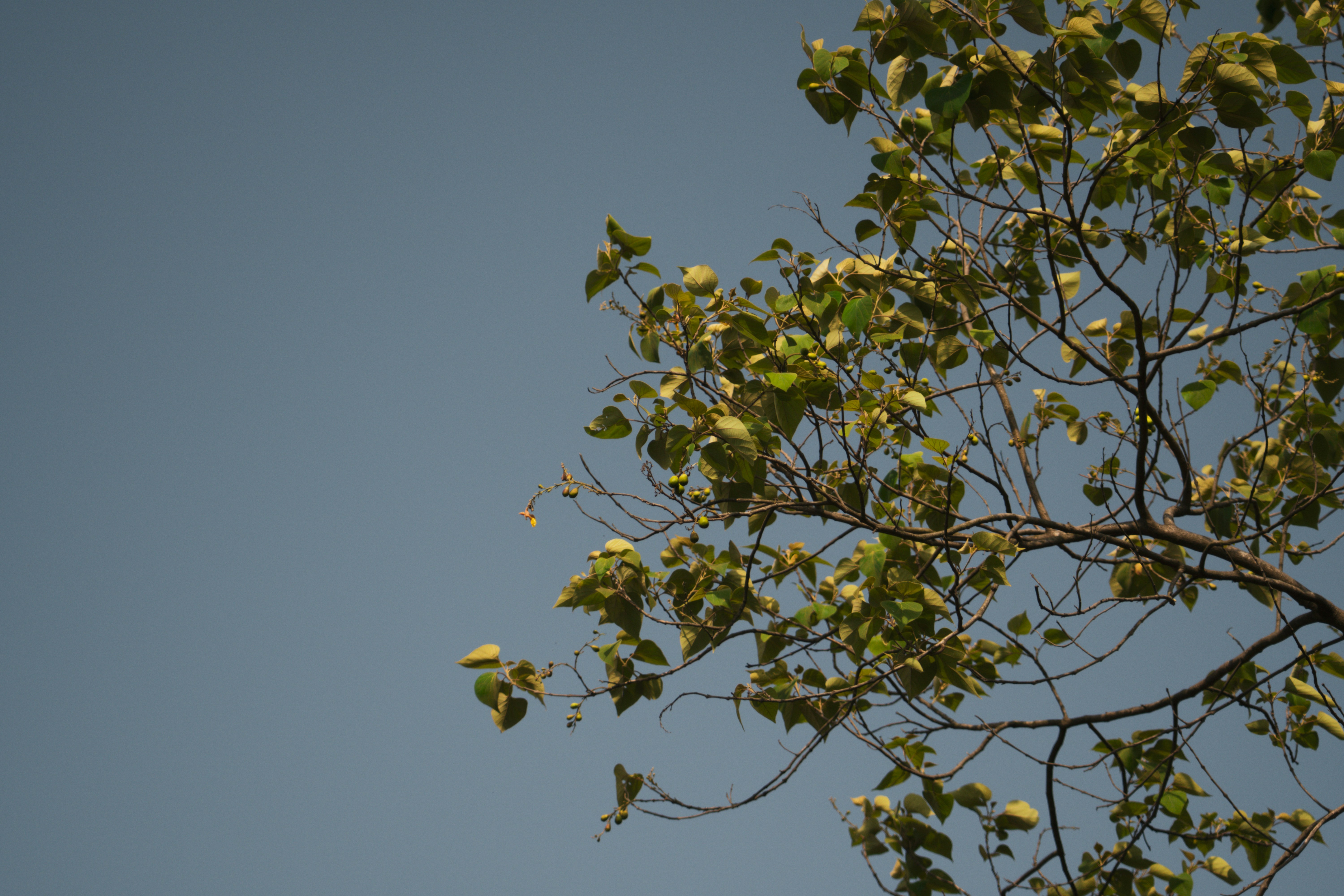 Photo by pixel_guy97