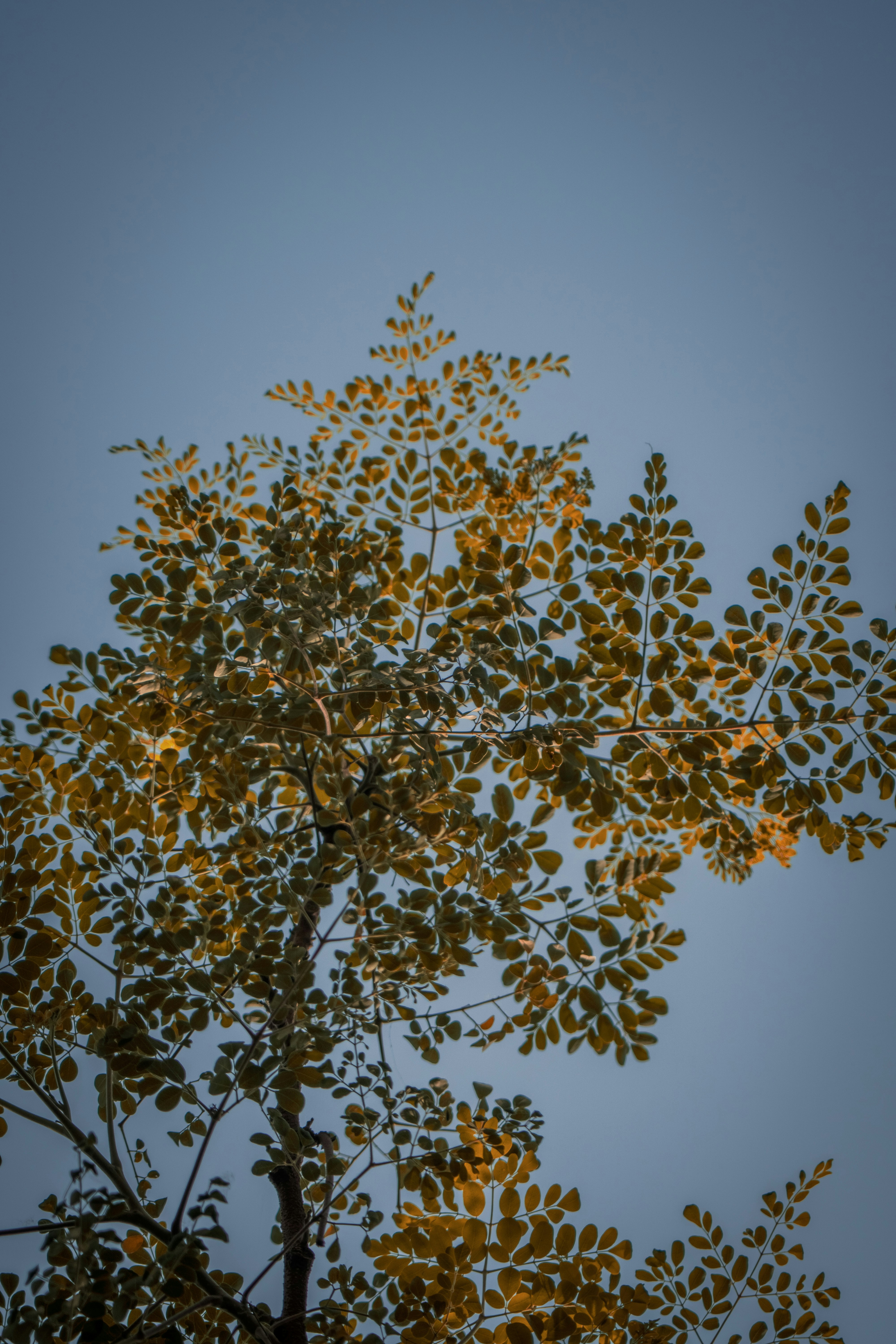 Photo by pixel_guy97