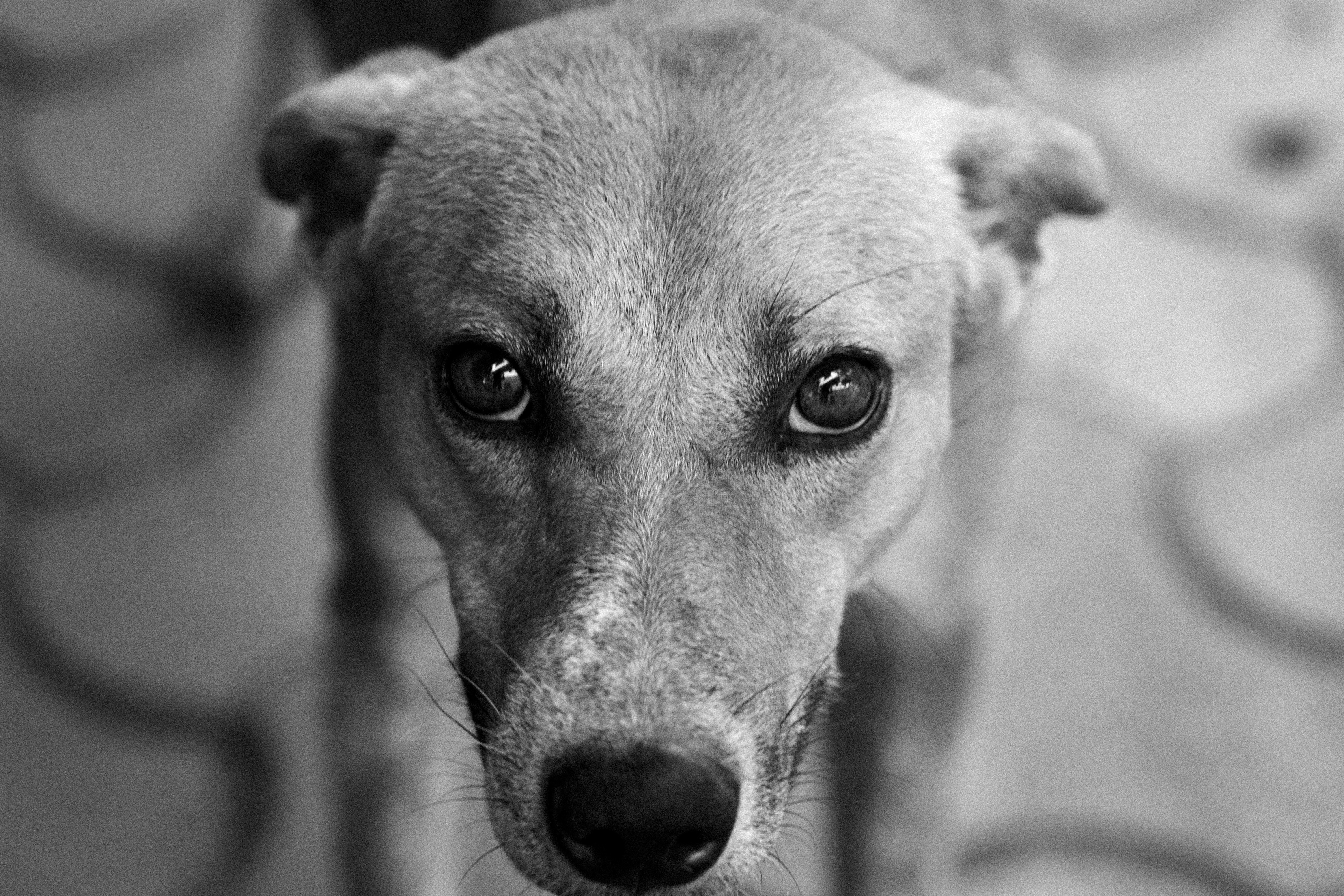 Photo by pixel_guy97