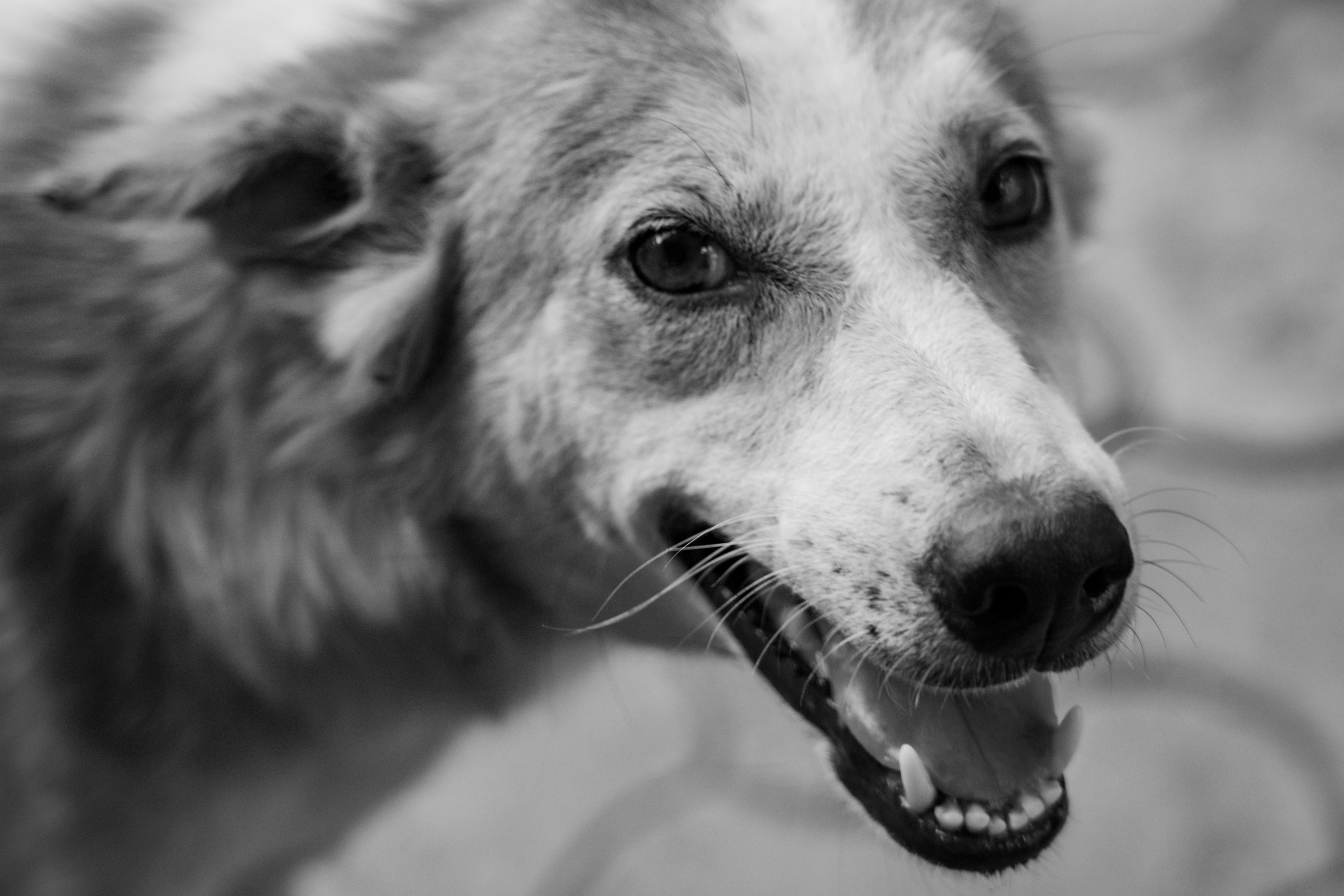 Photo by pixel_guy97