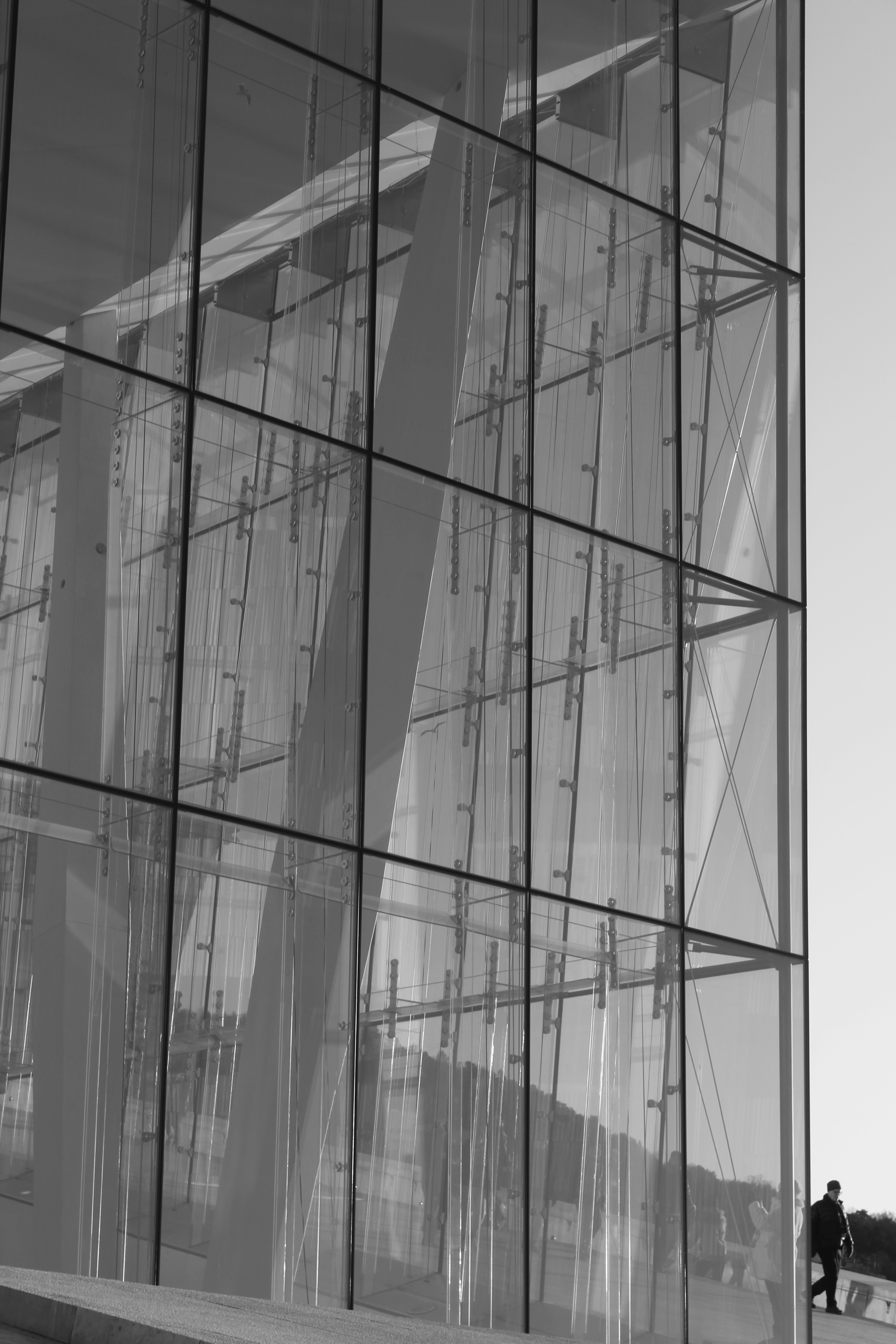 Photo by amirarsalan93