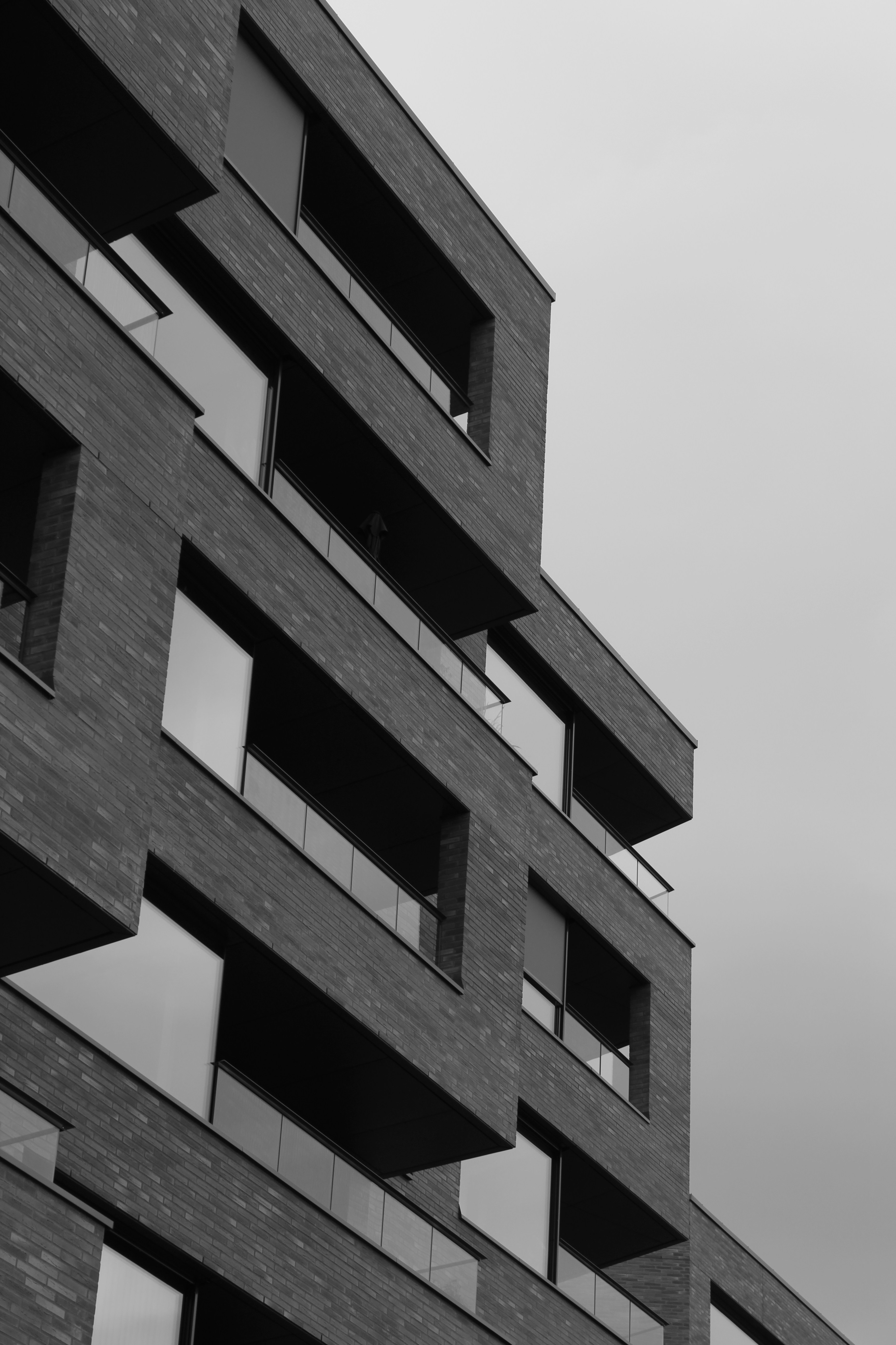 Photo by amirarsalan93