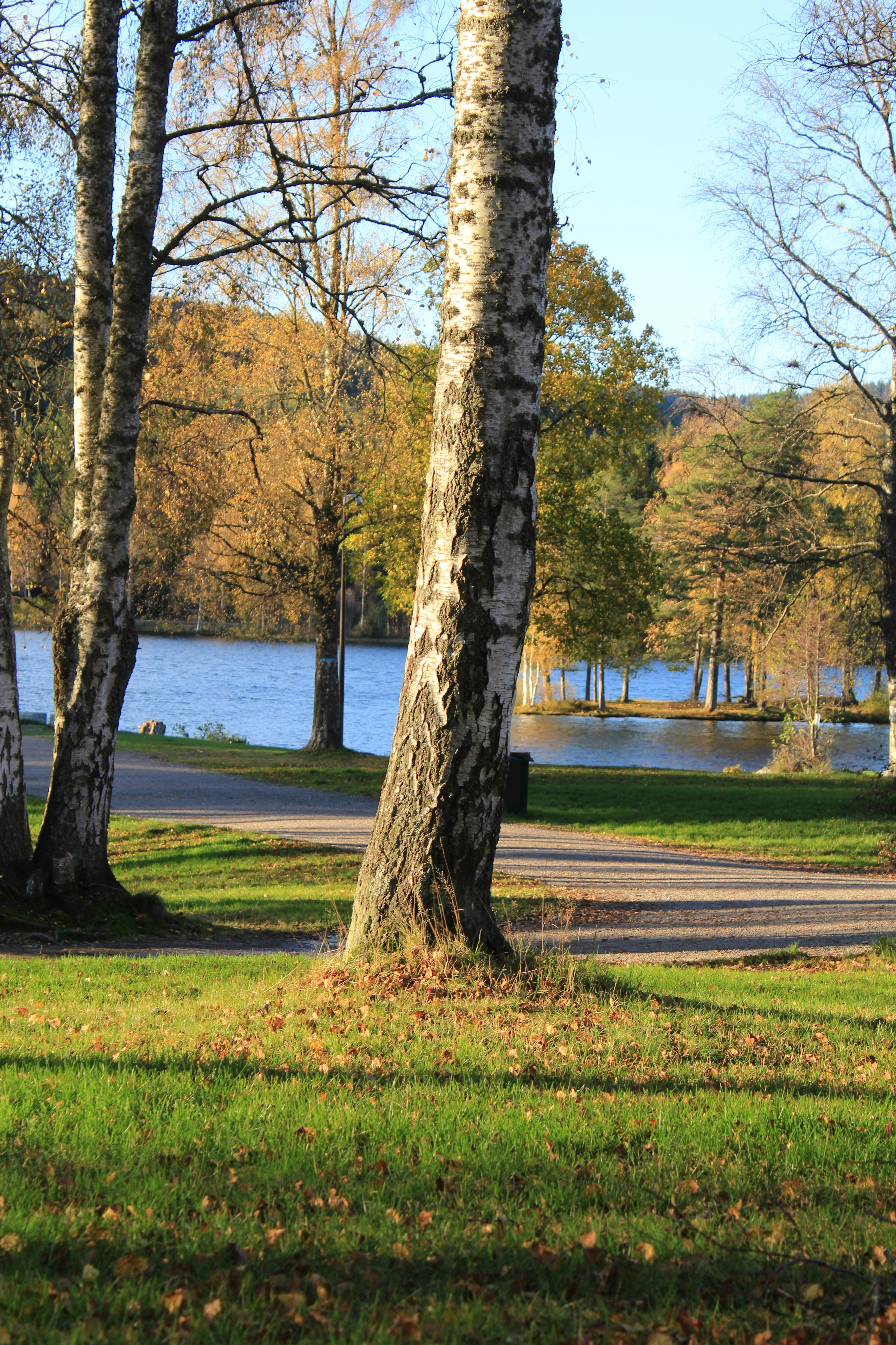 Photo by amirarsalan93