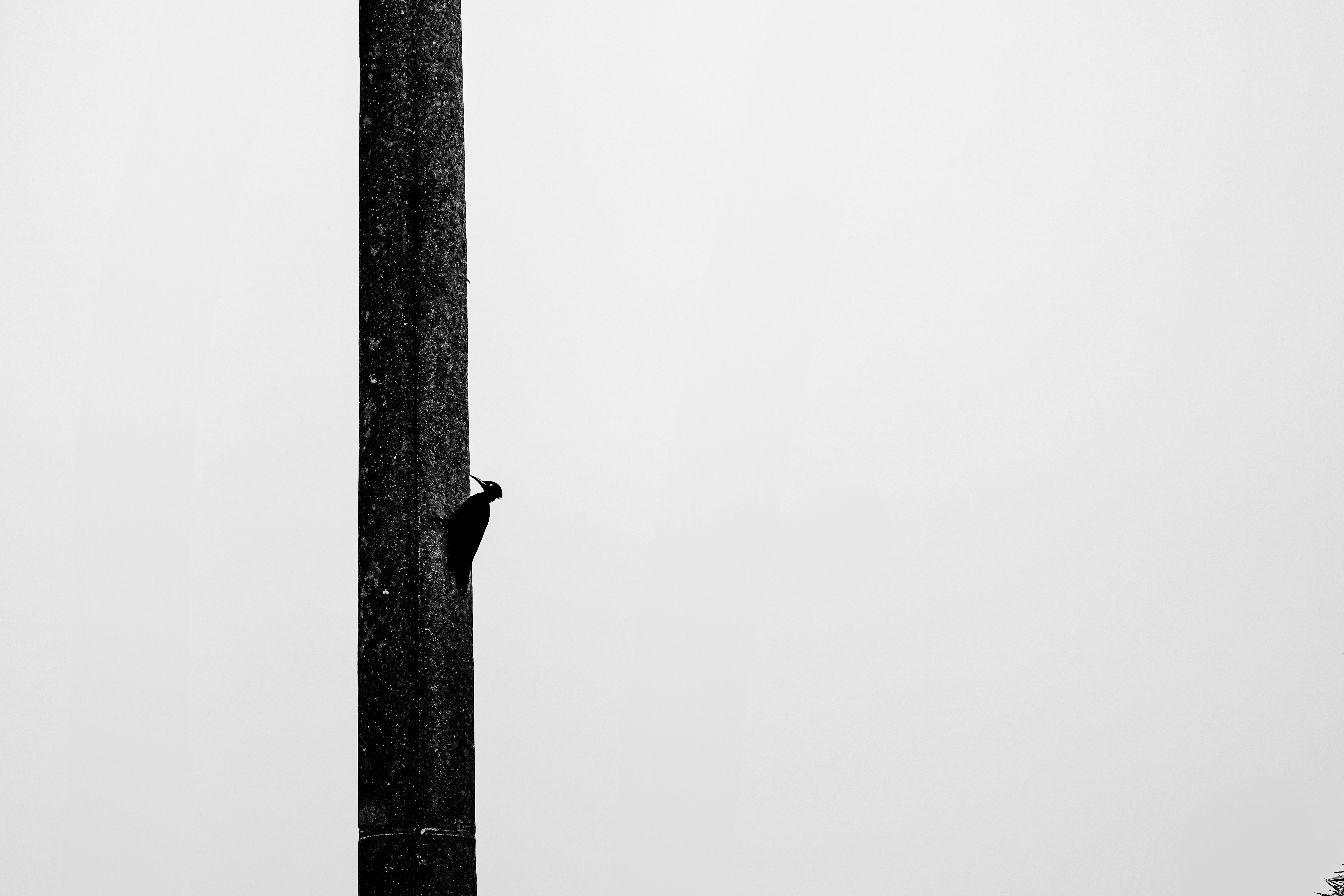 photo-1745603607740-b1dd113ebb3a?ixid=M3wxMjA3fDB8MXxzZWFyY2h8MTJ8fG05OGJldHxlbnwwfHx8fDE3NjYwNTU5Njl8MA\u0026ixlib=rb-4.1.0