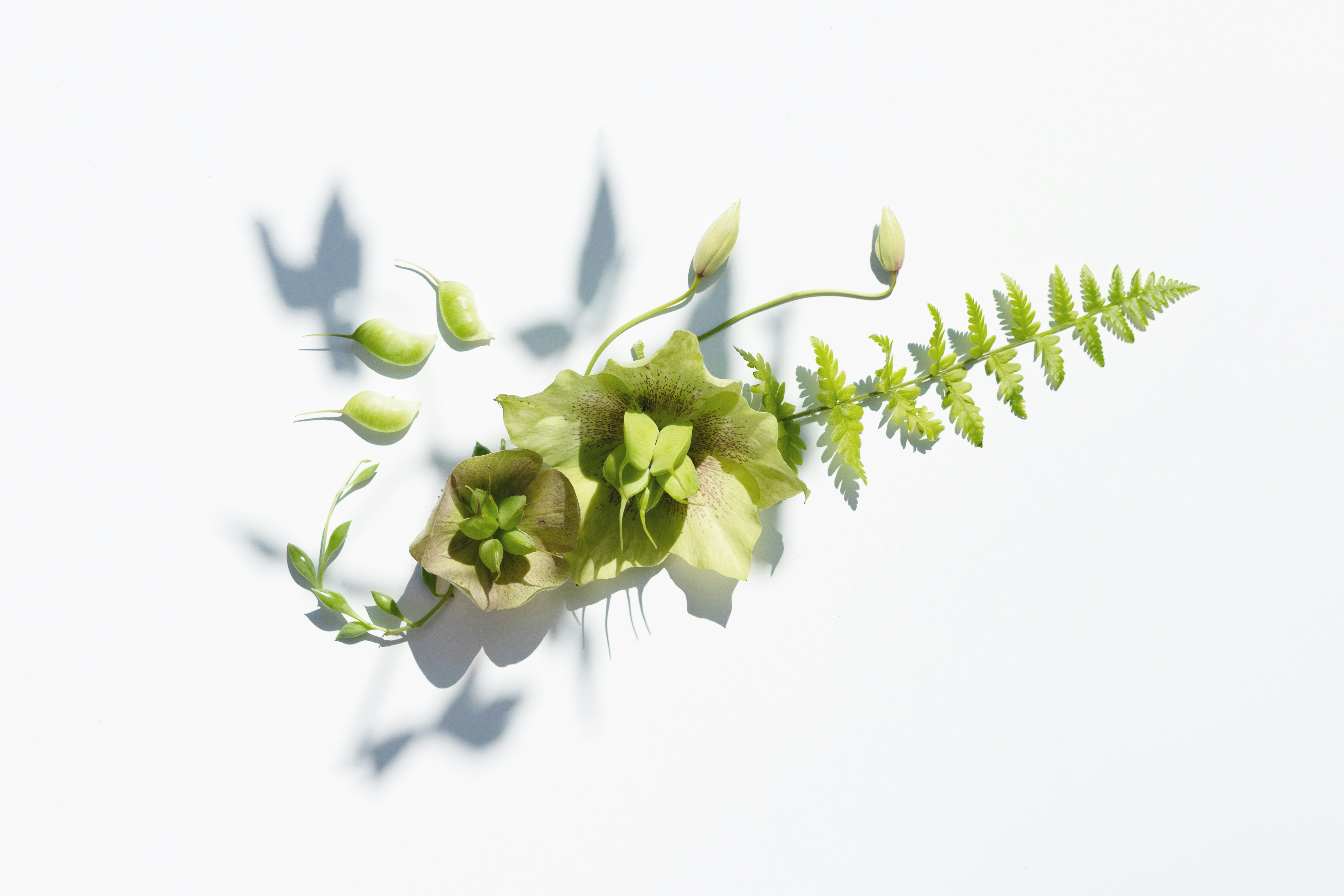 Gain Understandings On Mastering Dance Skills And Monetary Monitoring To Thrive As A Pole Dancer, But What Else Could Elevate Your Performance?