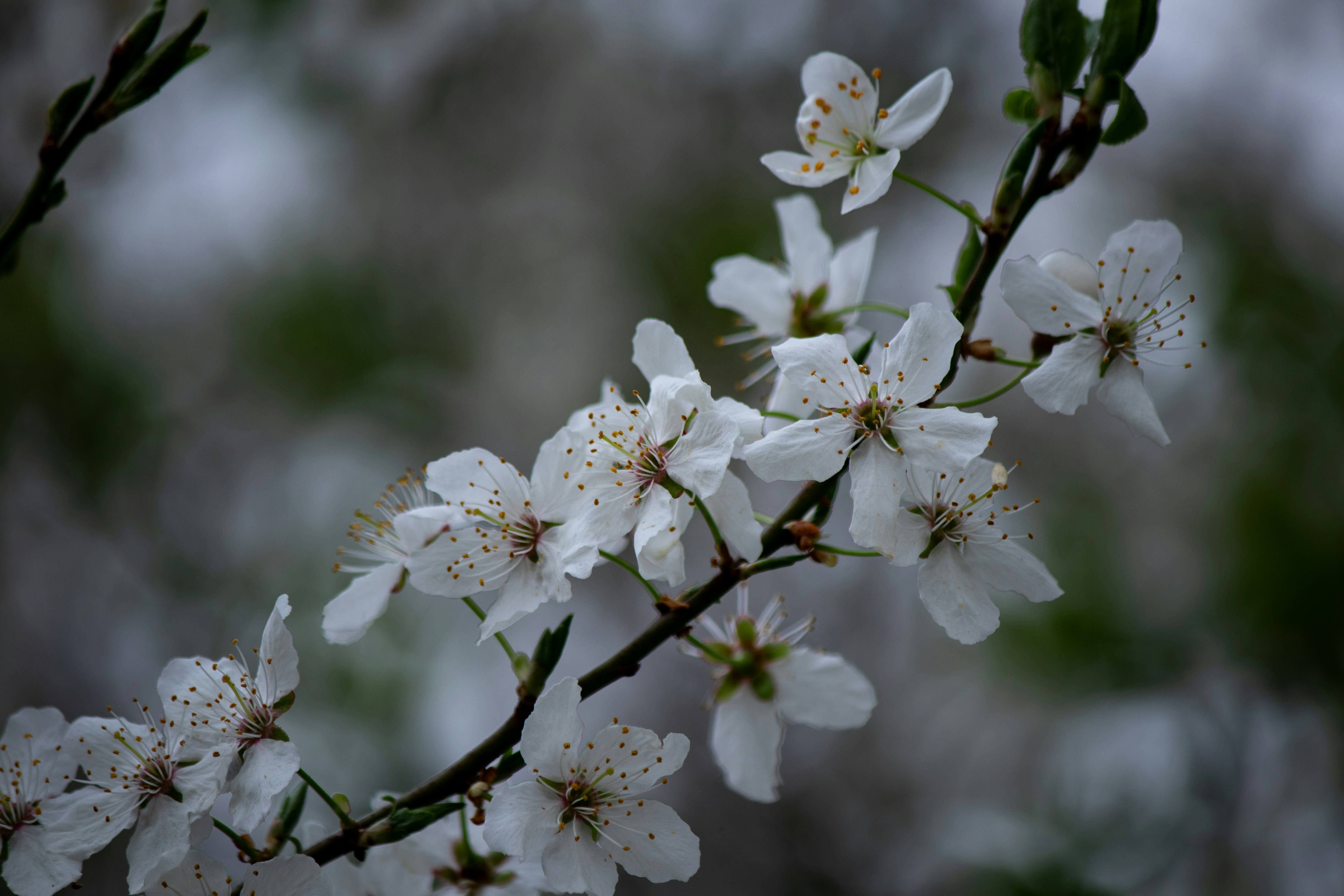 Photo by big_head_hunter