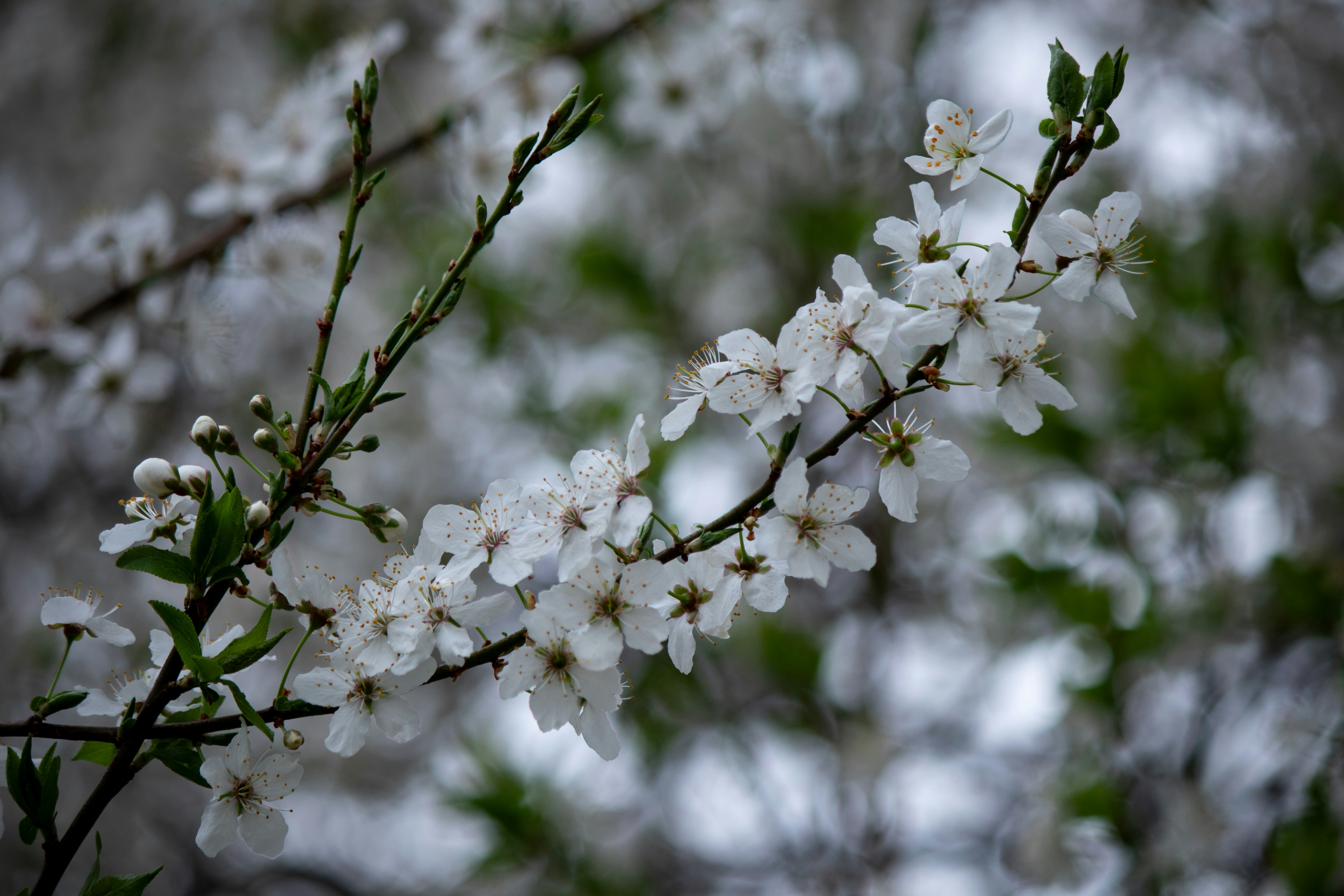 Photo by big_head_hunter