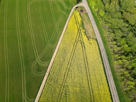 Fields and a road seen from above.