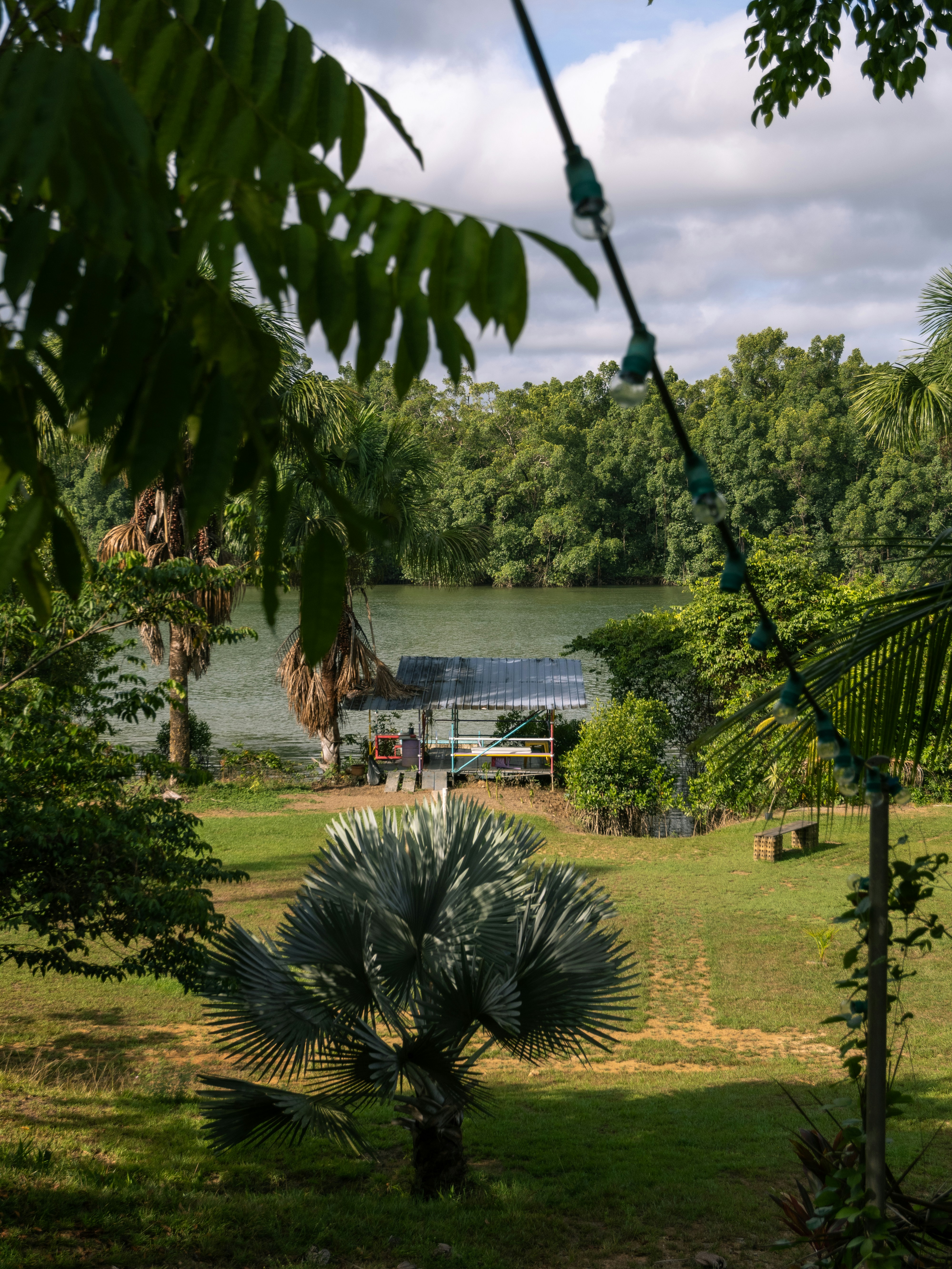 La vegetazione lussureggiante si affaccia su un tranquillo specchio d'acqua.
