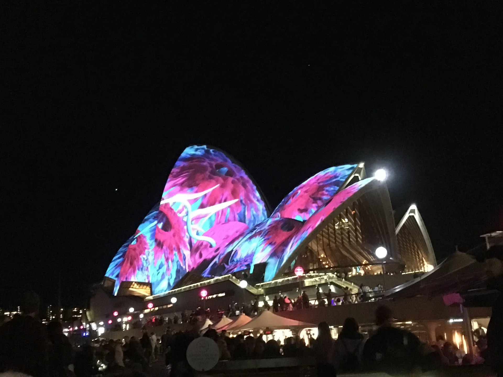 Vivid Sydney Opening Night 2028 countdown header photo