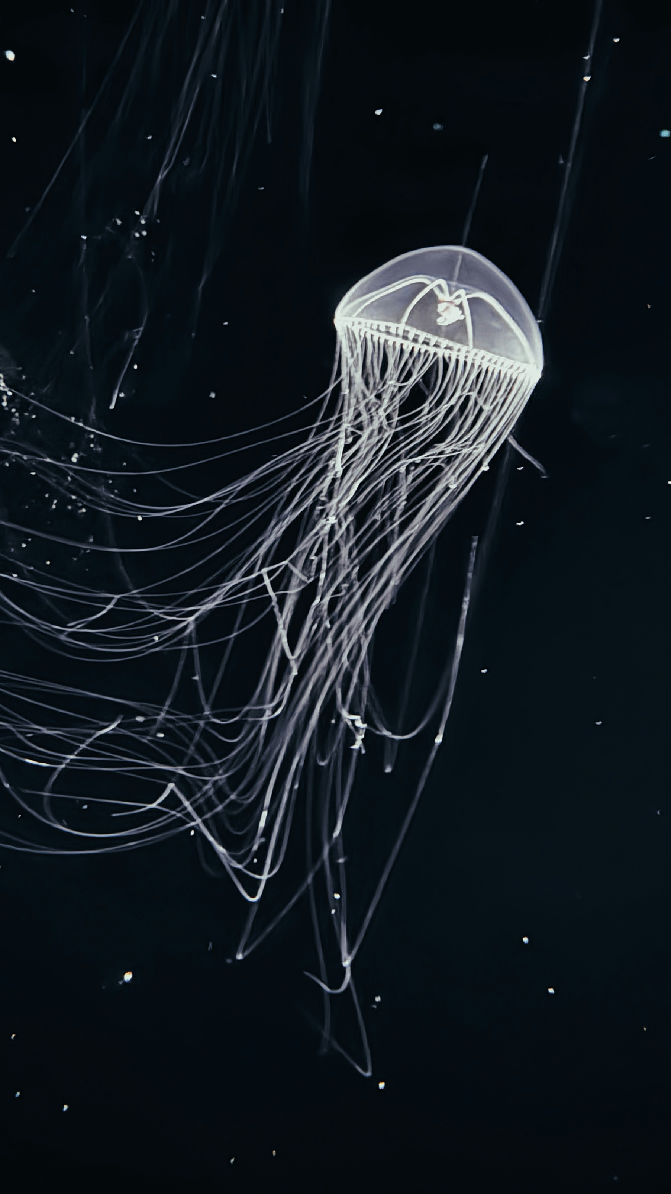 Photo by picsbyjameslee