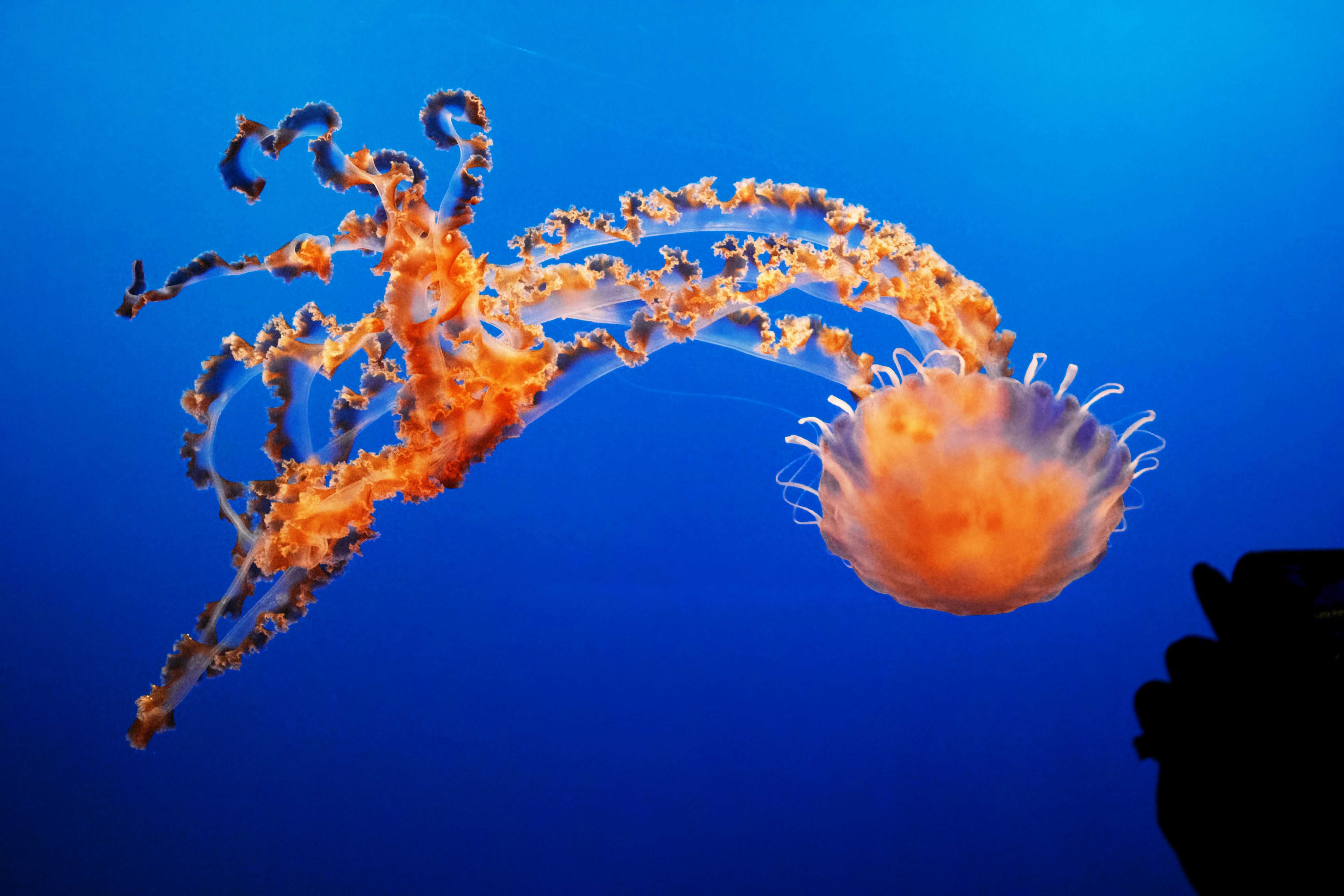 Photo by picsbyjameslee