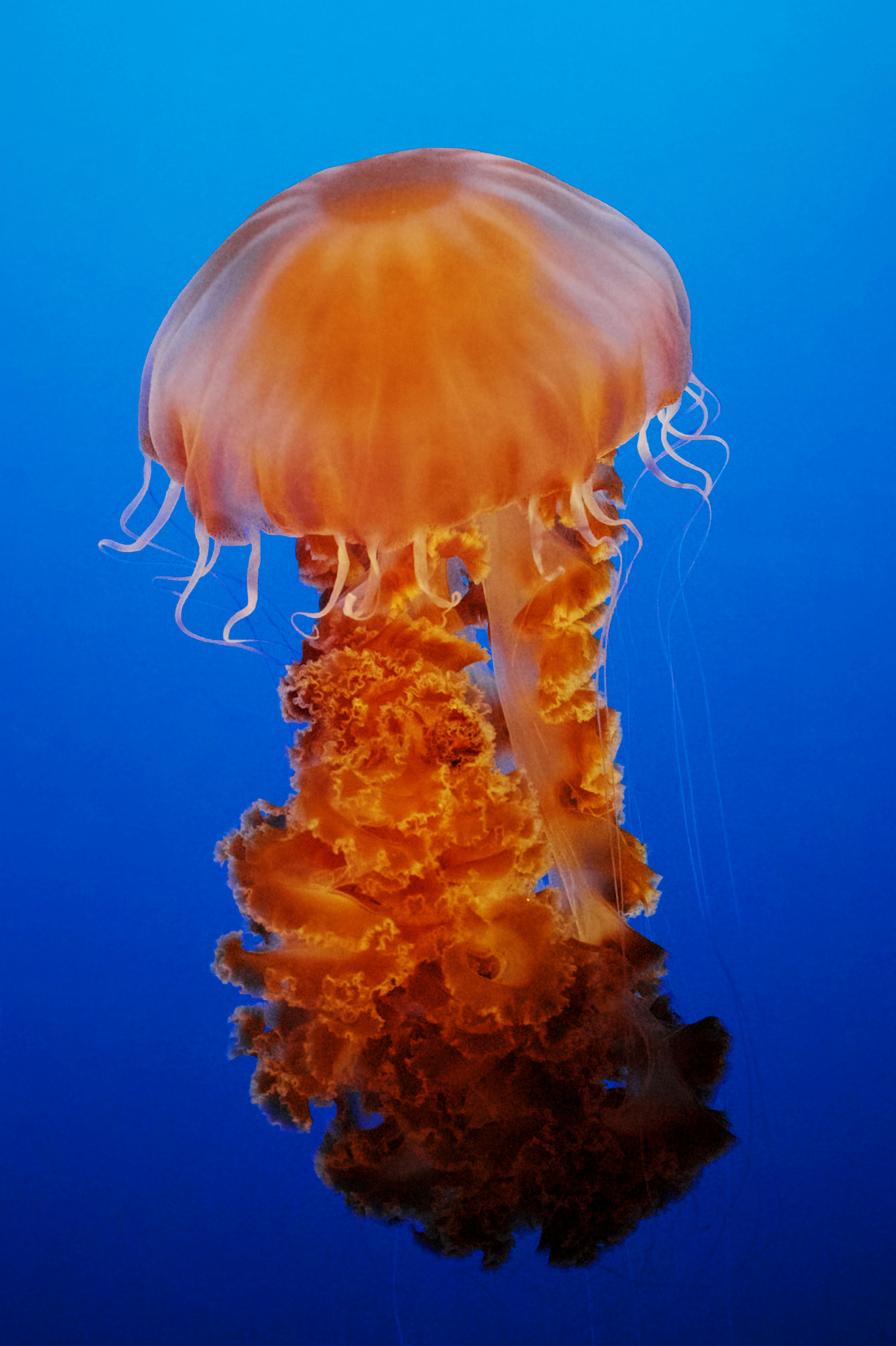 Photo by picsbyjameslee