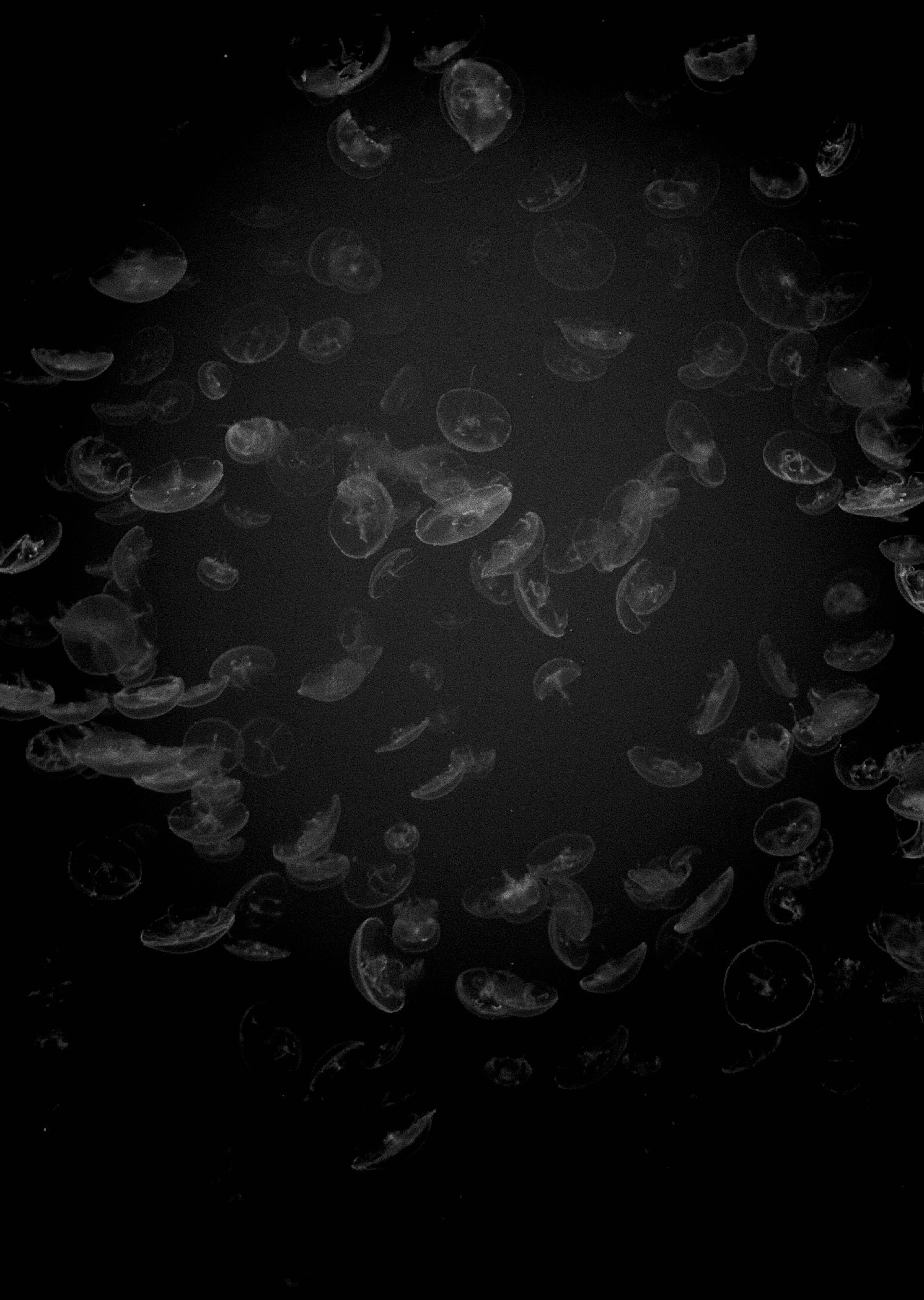 Photo by picsbyjameslee