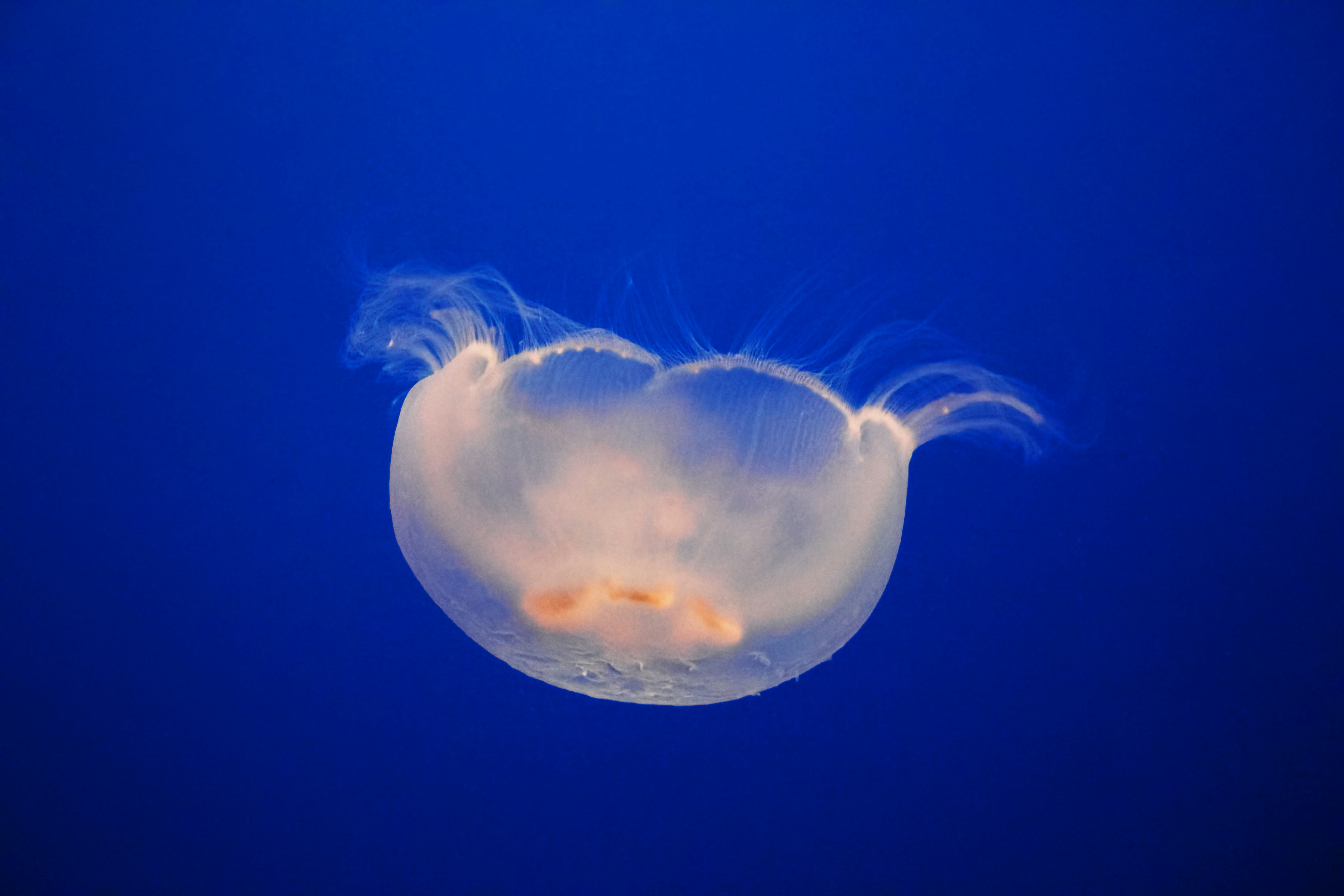 Photo by picsbyjameslee