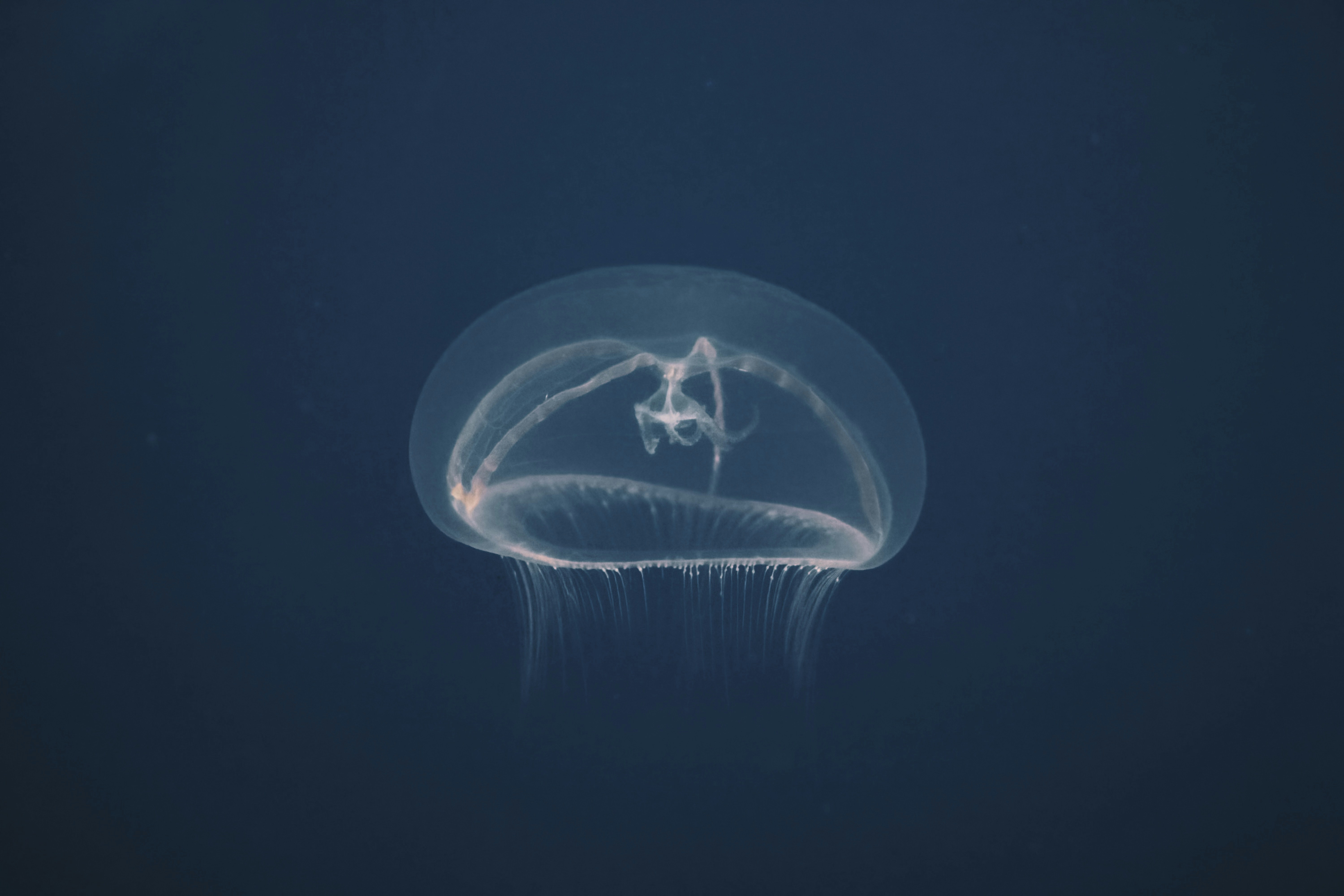 Deep Brain Stimulation: A Comprehensive Guide to This Life-Changing Neurological Treatment