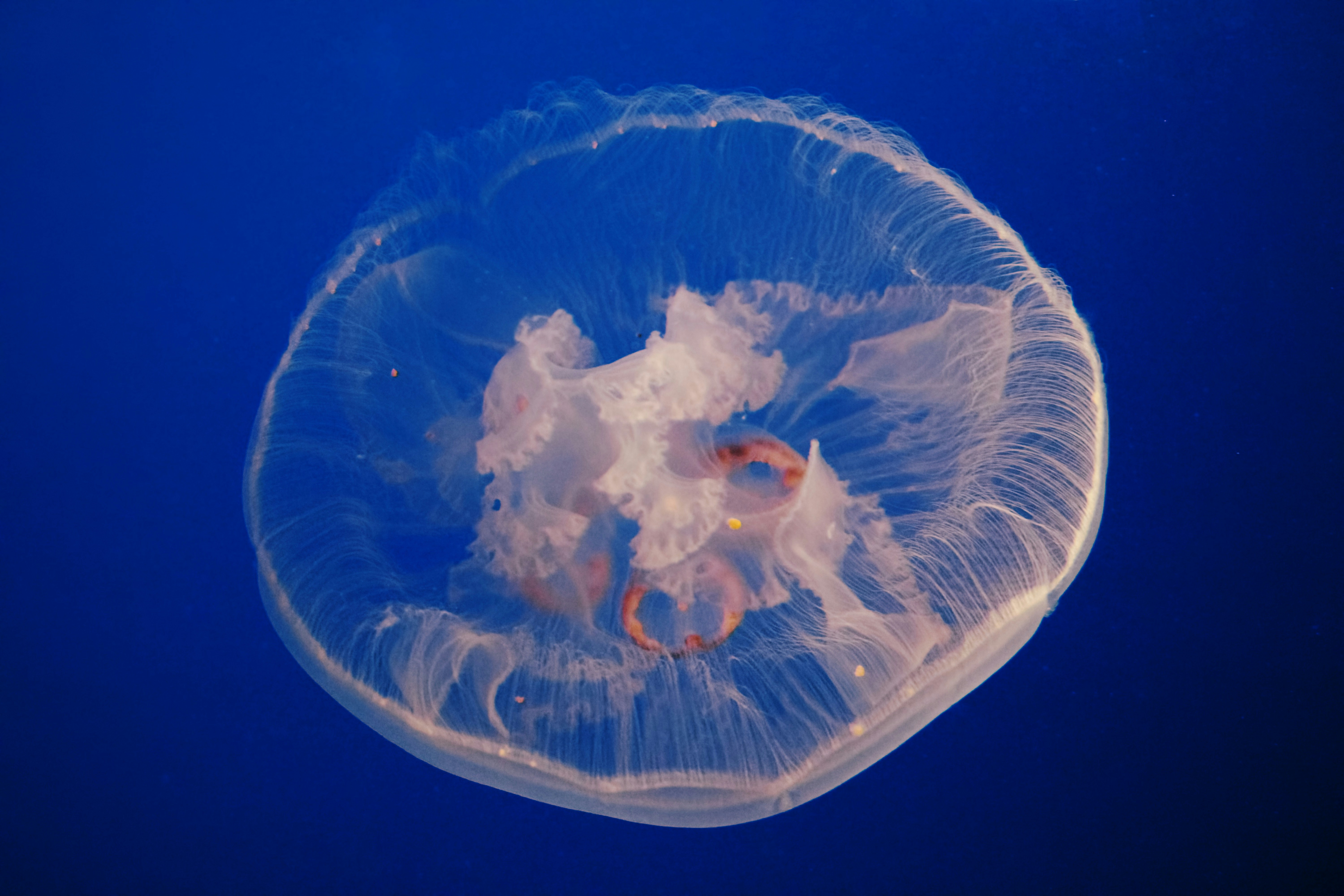 Photo by picsbyjameslee