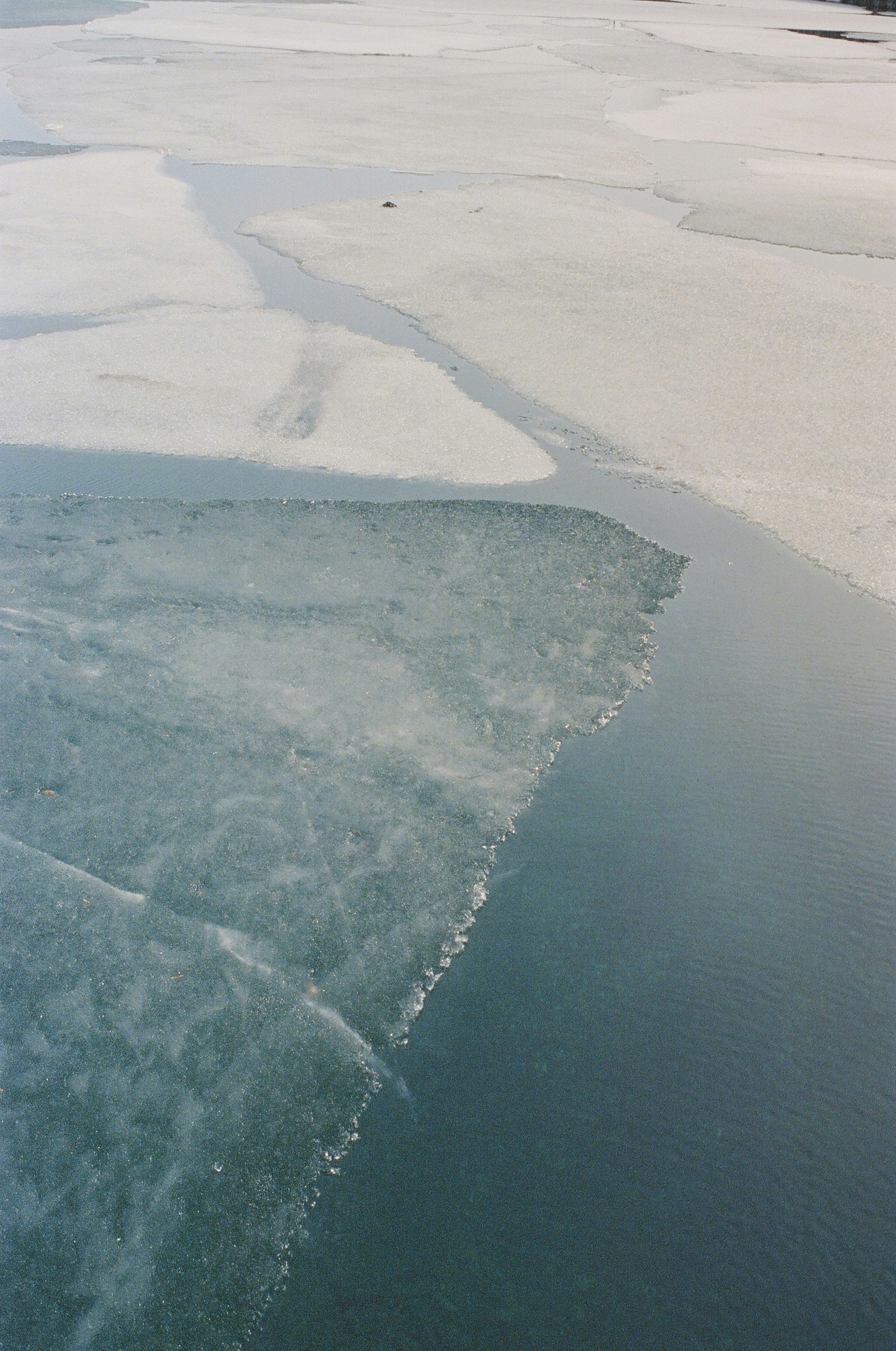 Frozen lake ice melts into open water.