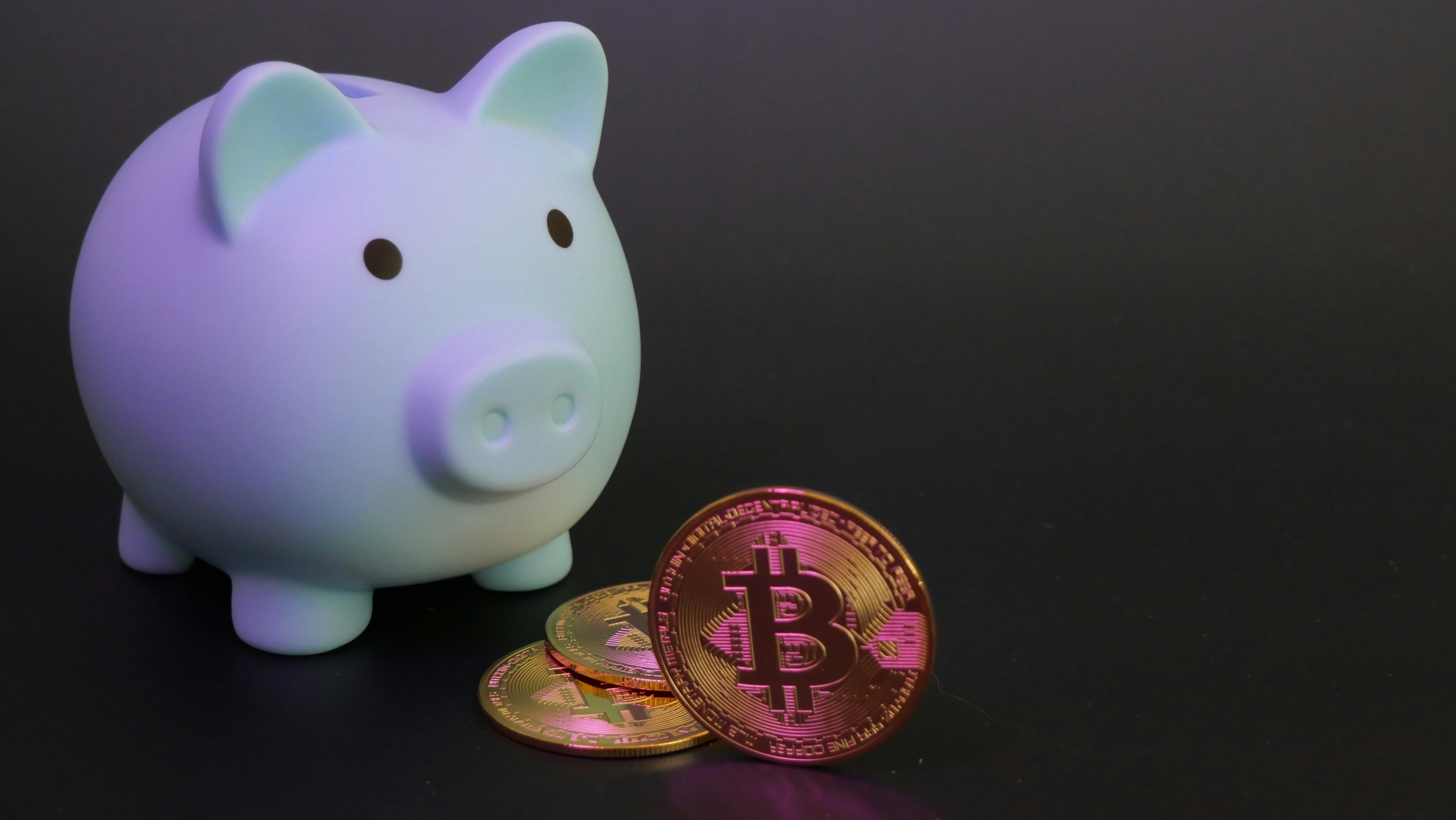 Piggy bank with bitcoin cryptocurrency.