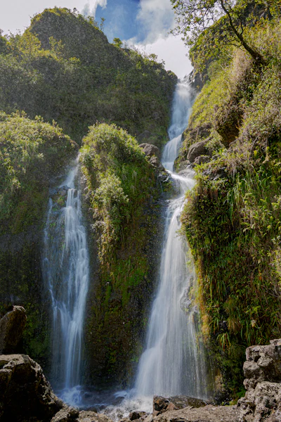 Rainforest waterfalls hike with picnic lunch