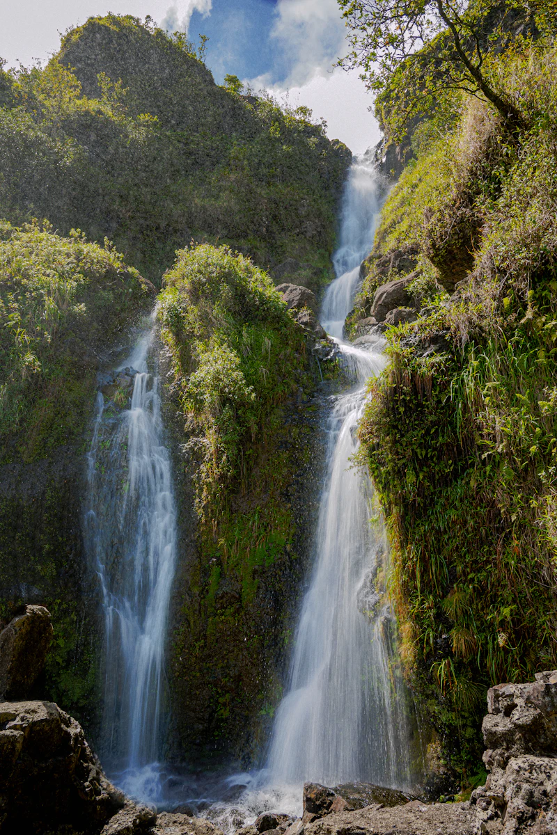 Rainforest waterfalls hike with picnic lunch