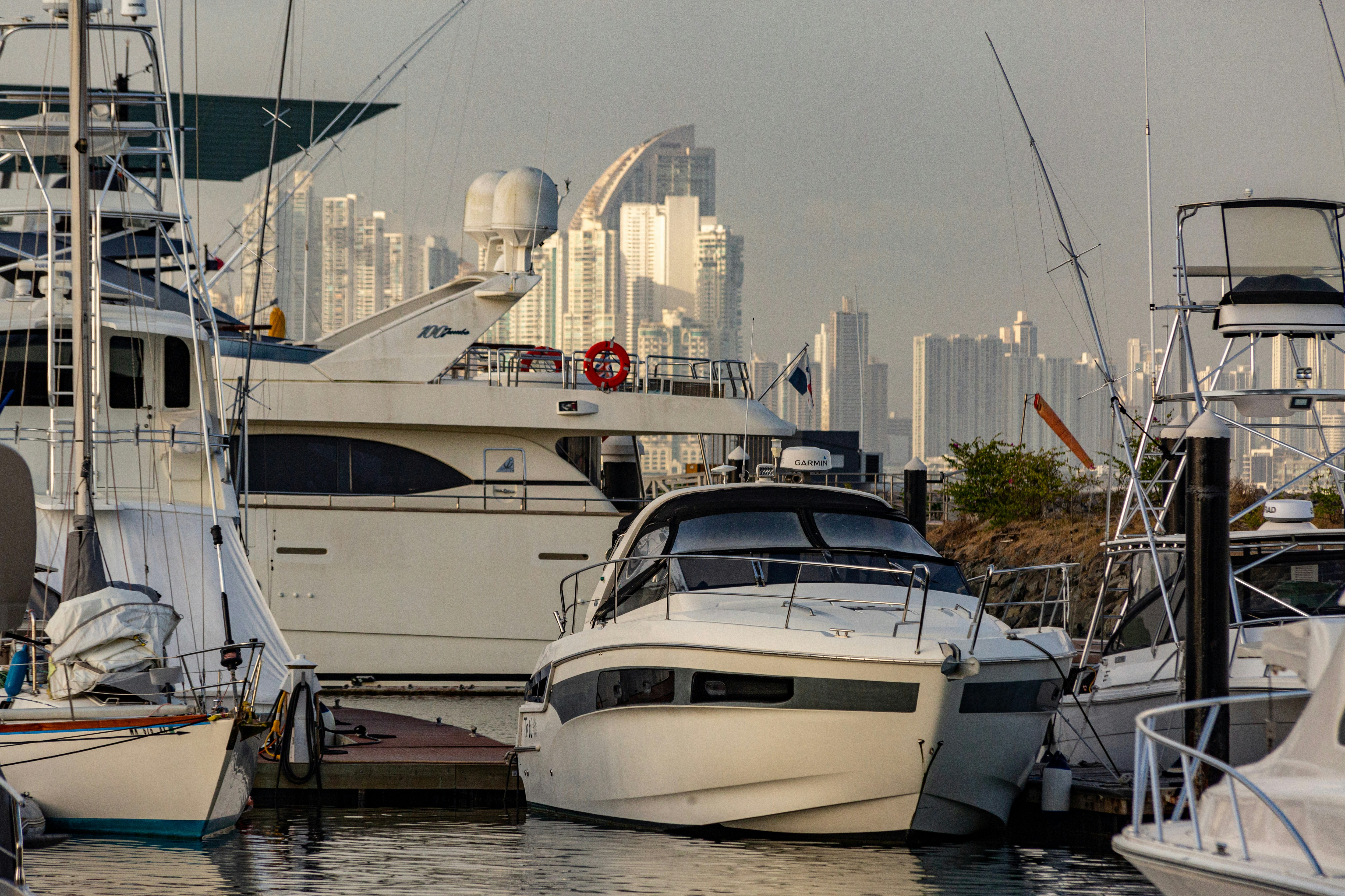 Cinta Costera photo 2