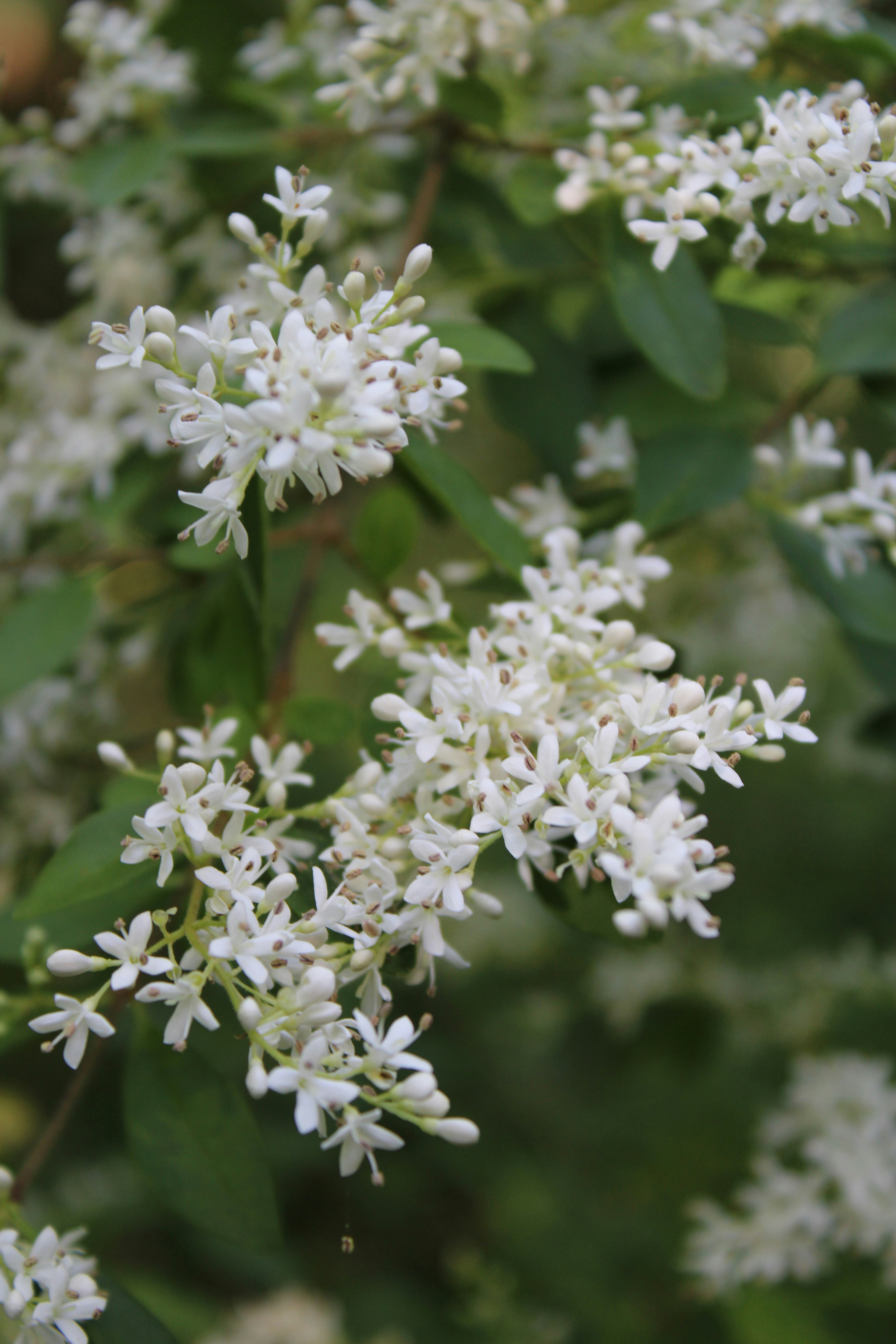 Photo by veronicapotter