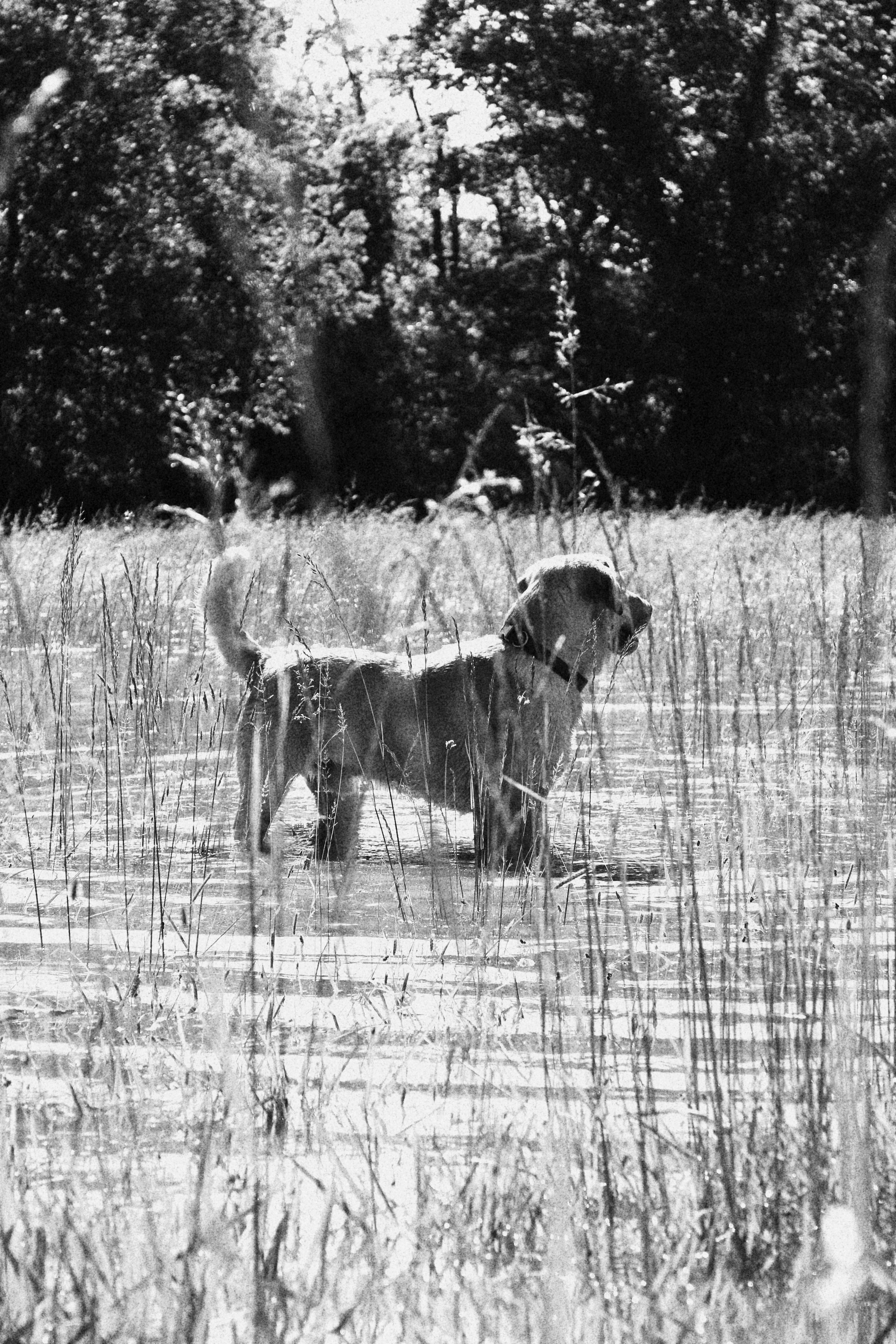 Photo by veronicapotter