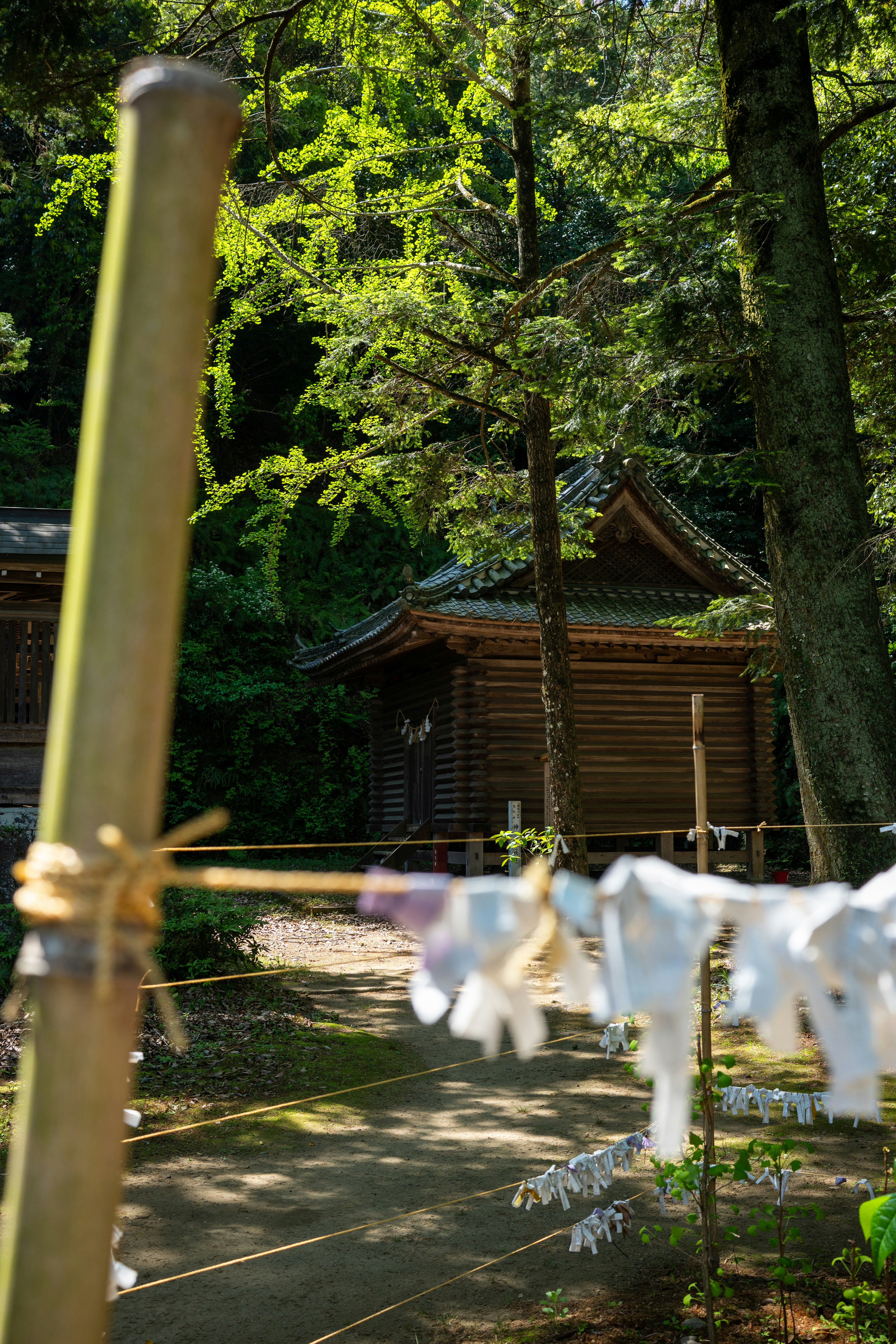 Tottori retreat and traditional crafts