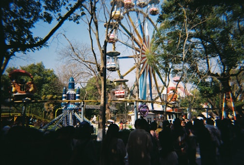 People are at an amusement park with a ferris wheel.