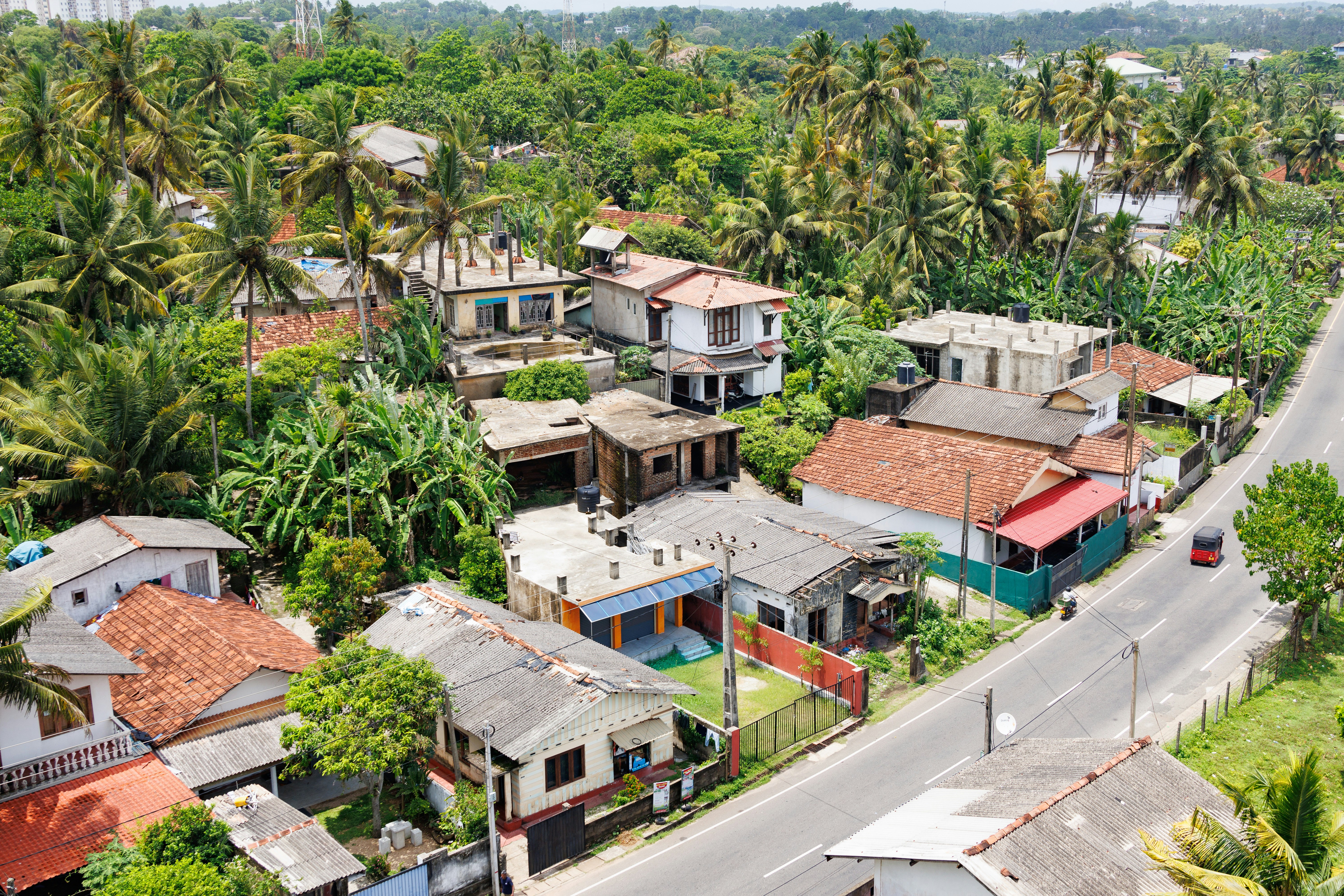 Houses nestled amidst lush greenery and a road., 