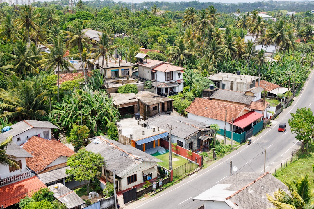 Houses nestled amidst lush greenery and a road.,