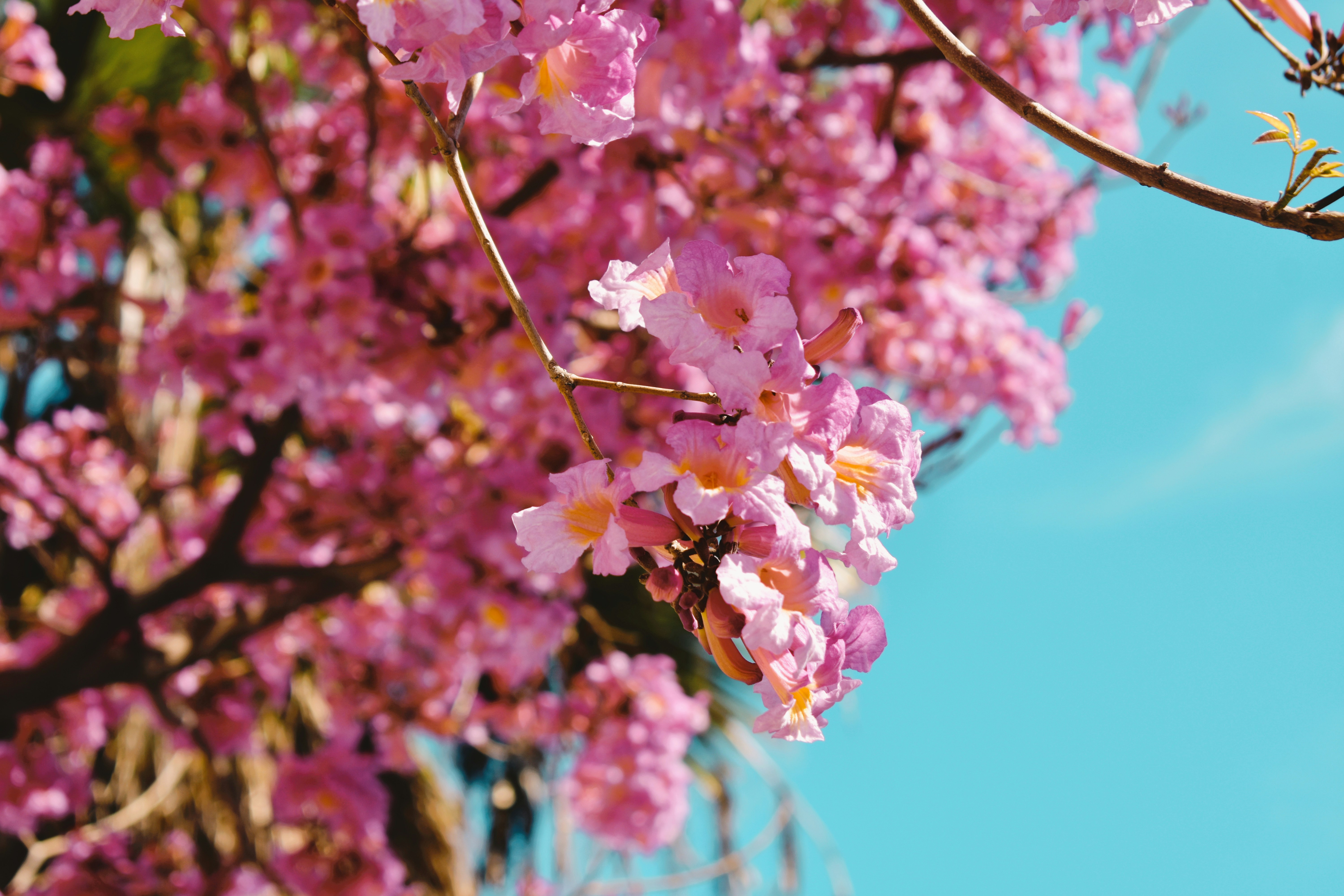 Photo by myshegotripped