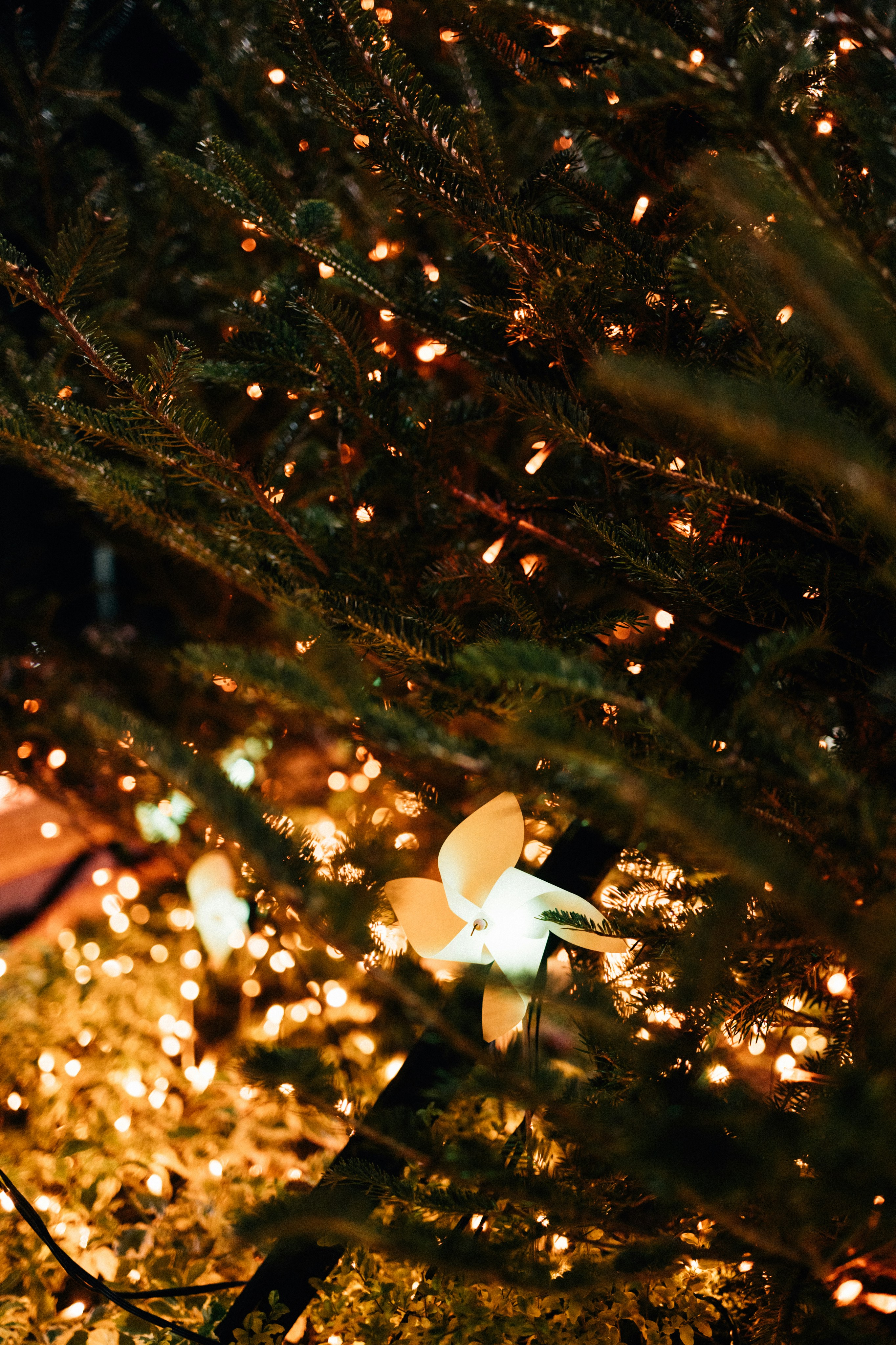 Photo by tsuyoshikozu