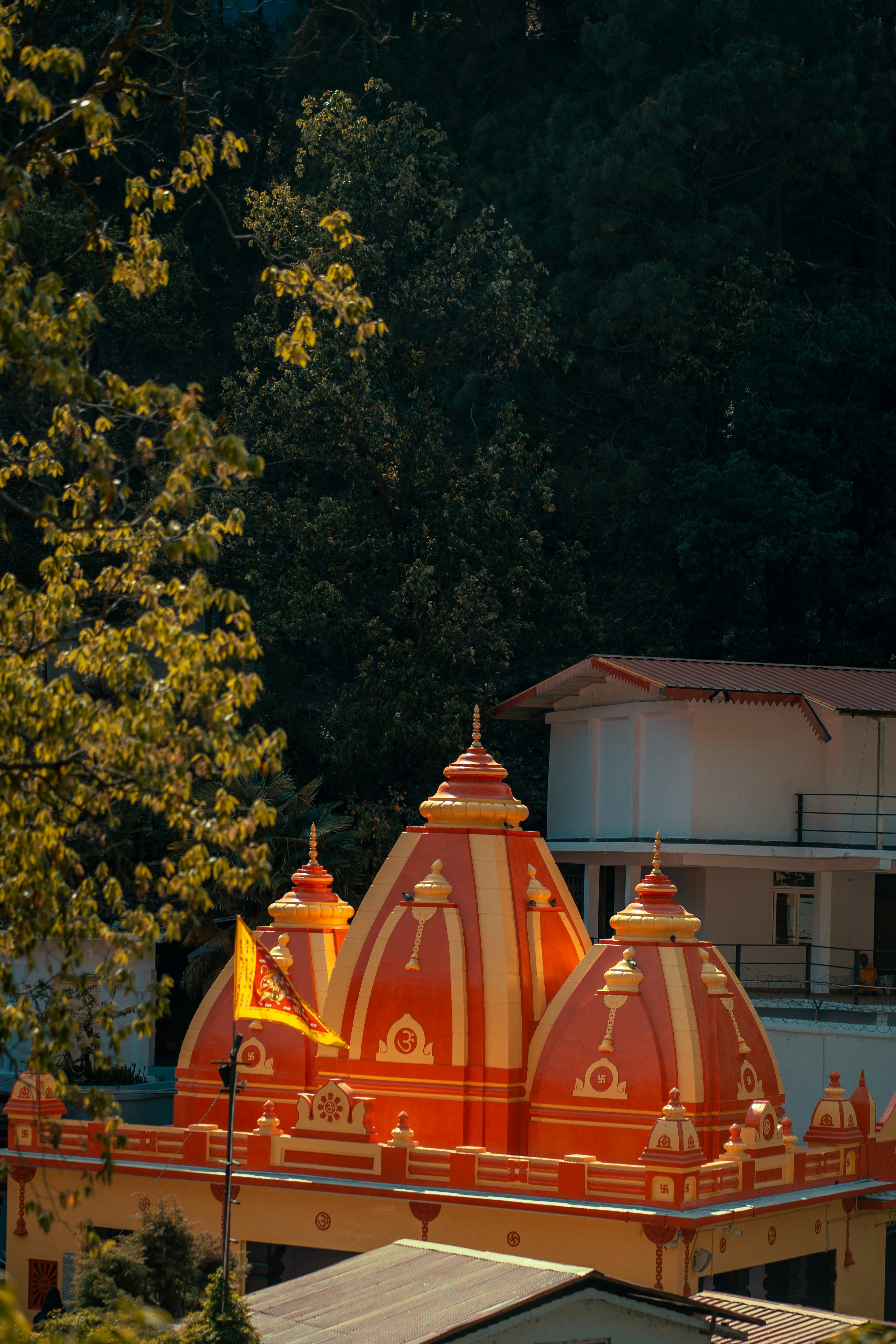 A temple sits beneath lush, dark green trees.