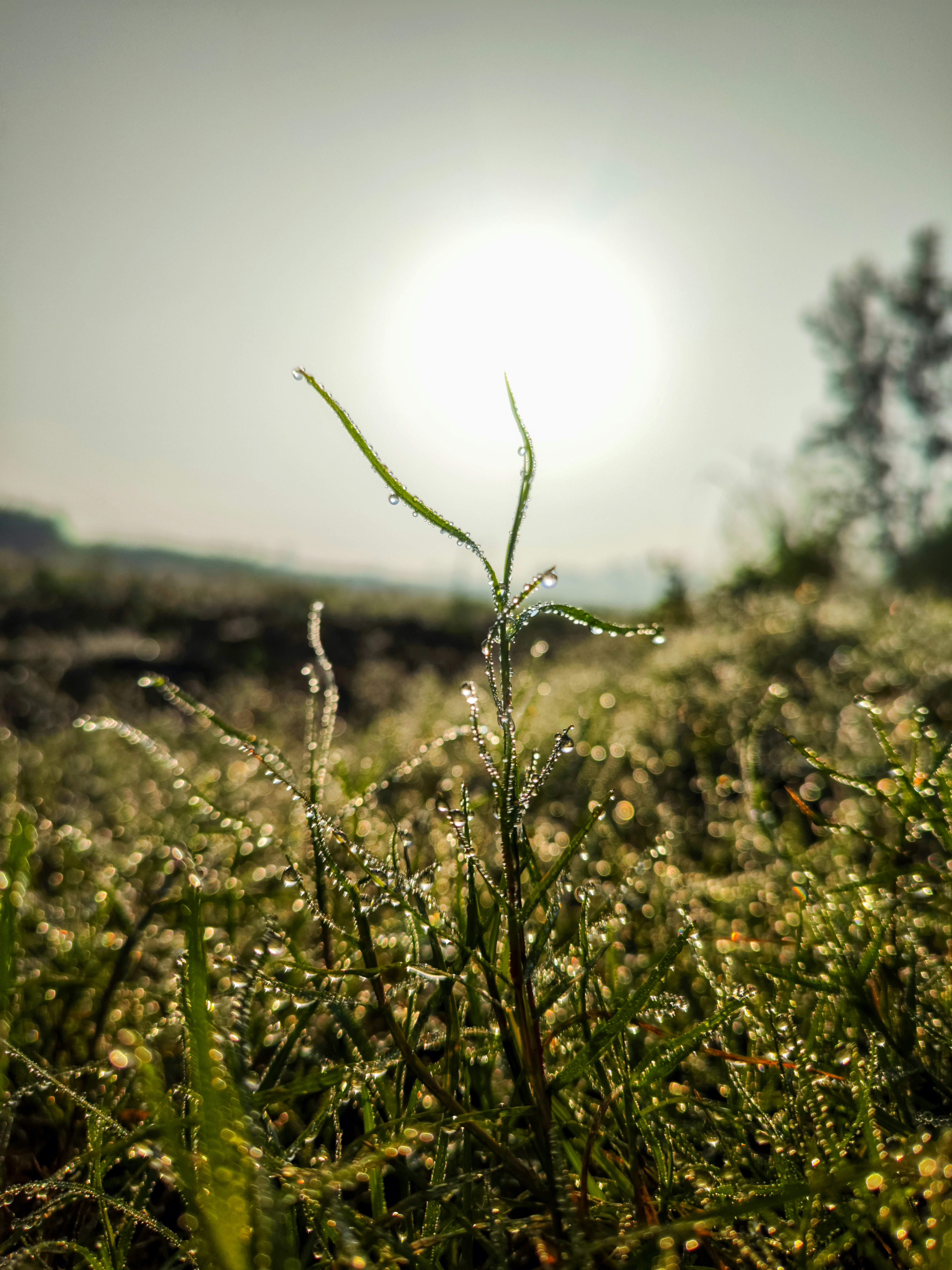 Photo by aks_by_aamir